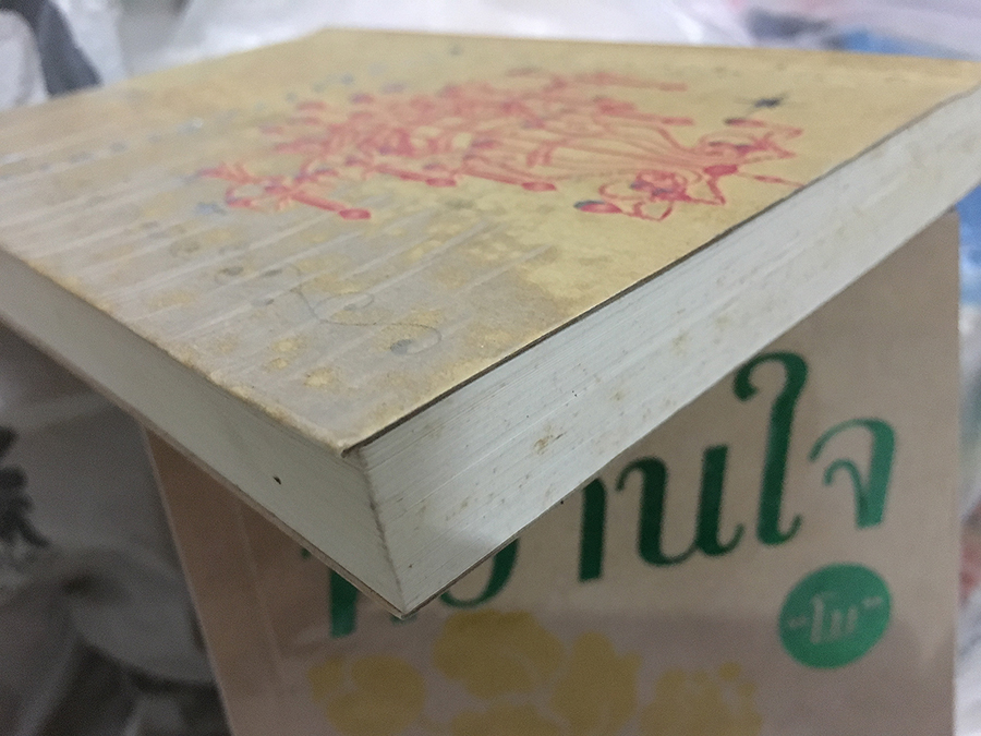 ความสุขระหว่างทาง / รวมนักเขียน