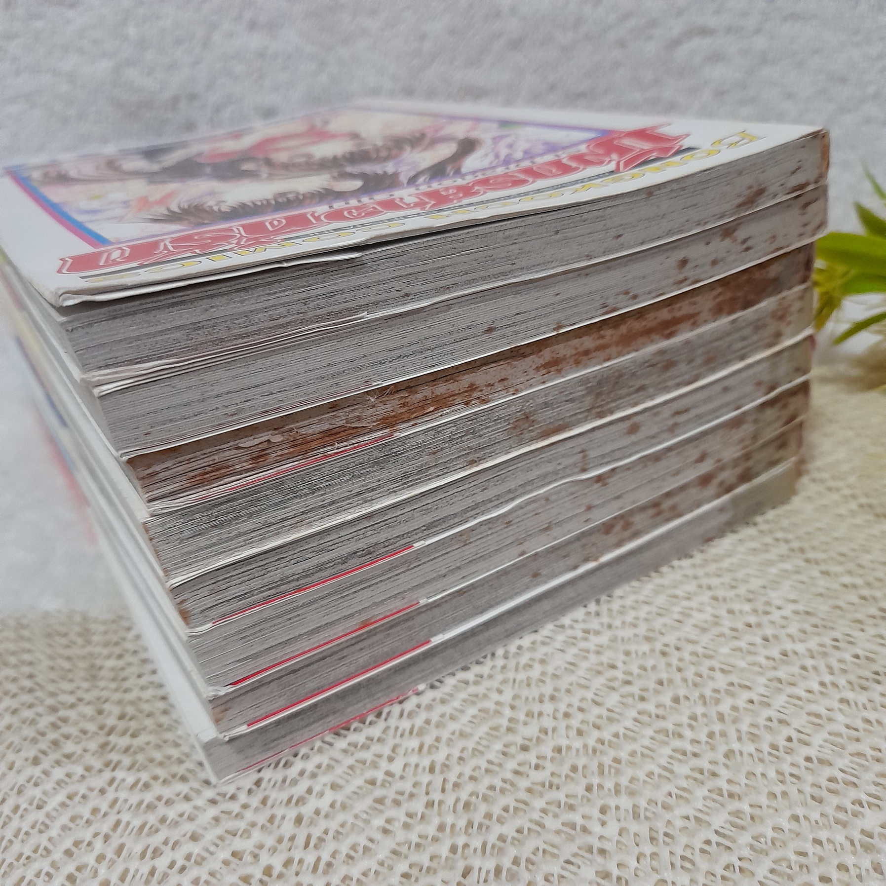 มังกรสาวที่รัก 1-8 จบ