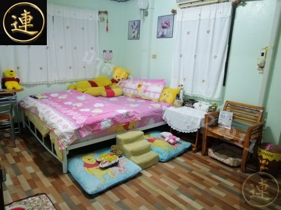 เสื่อน้ำมัน ลาย อัพเดด 26 พฤศจิกายน 2564