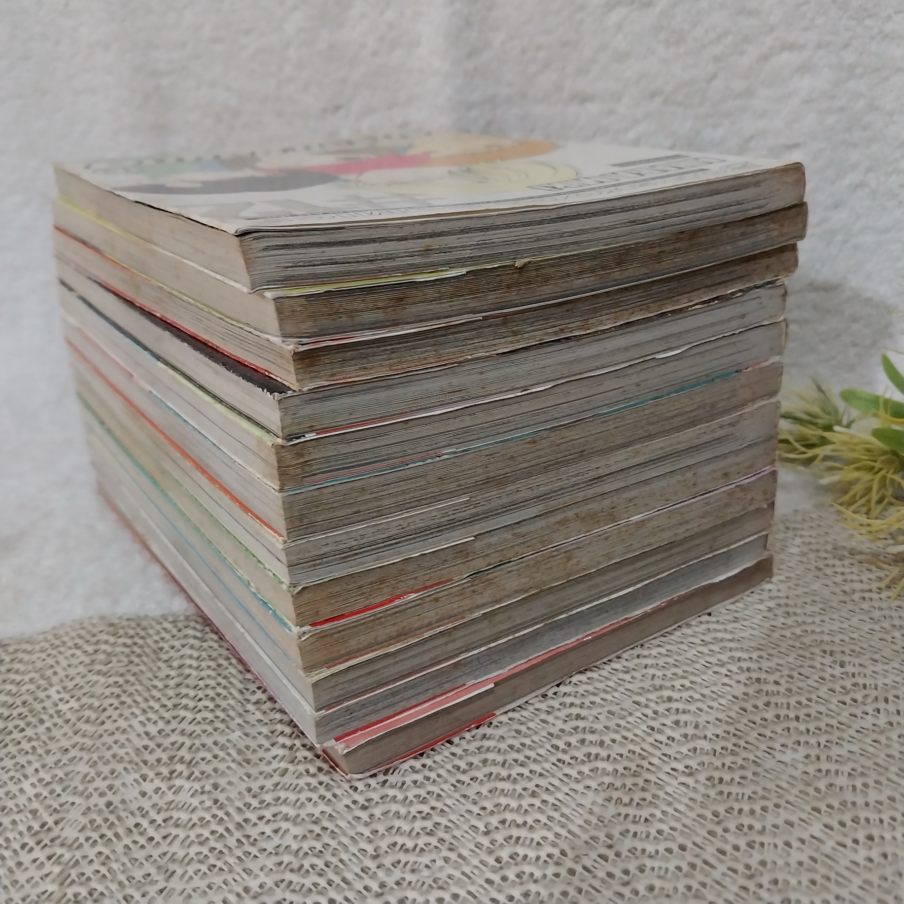 รักซ้อน ซ่อนกล 1-12 จบ