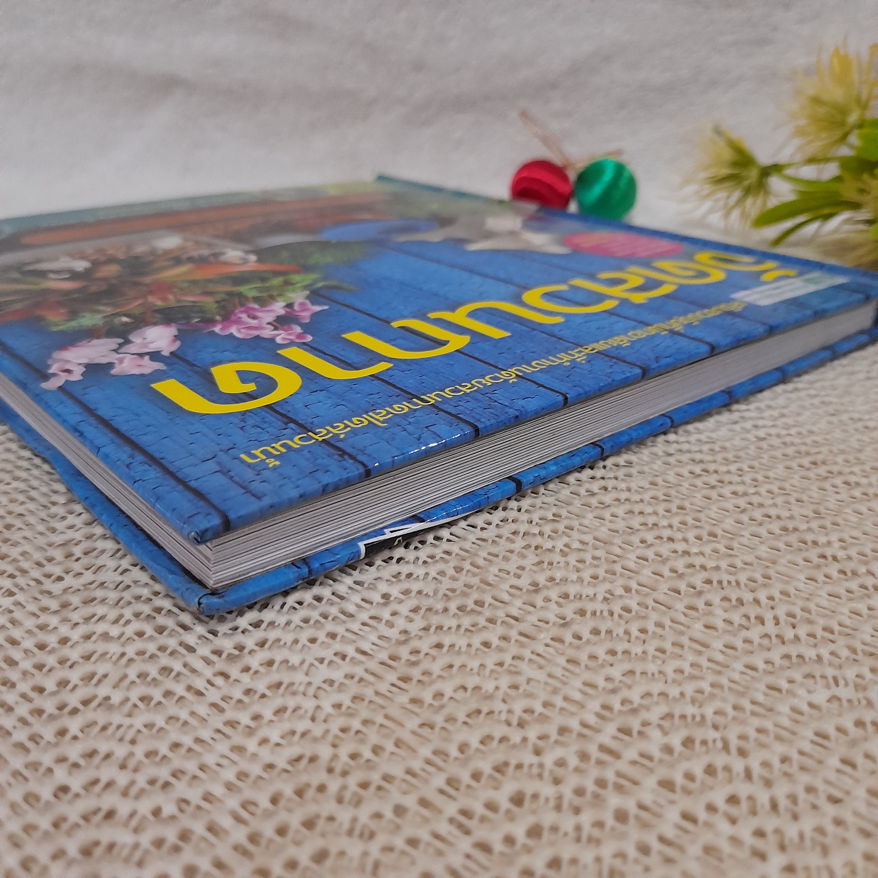 จัดสวนถาด (ปกแข็ง) + DVD