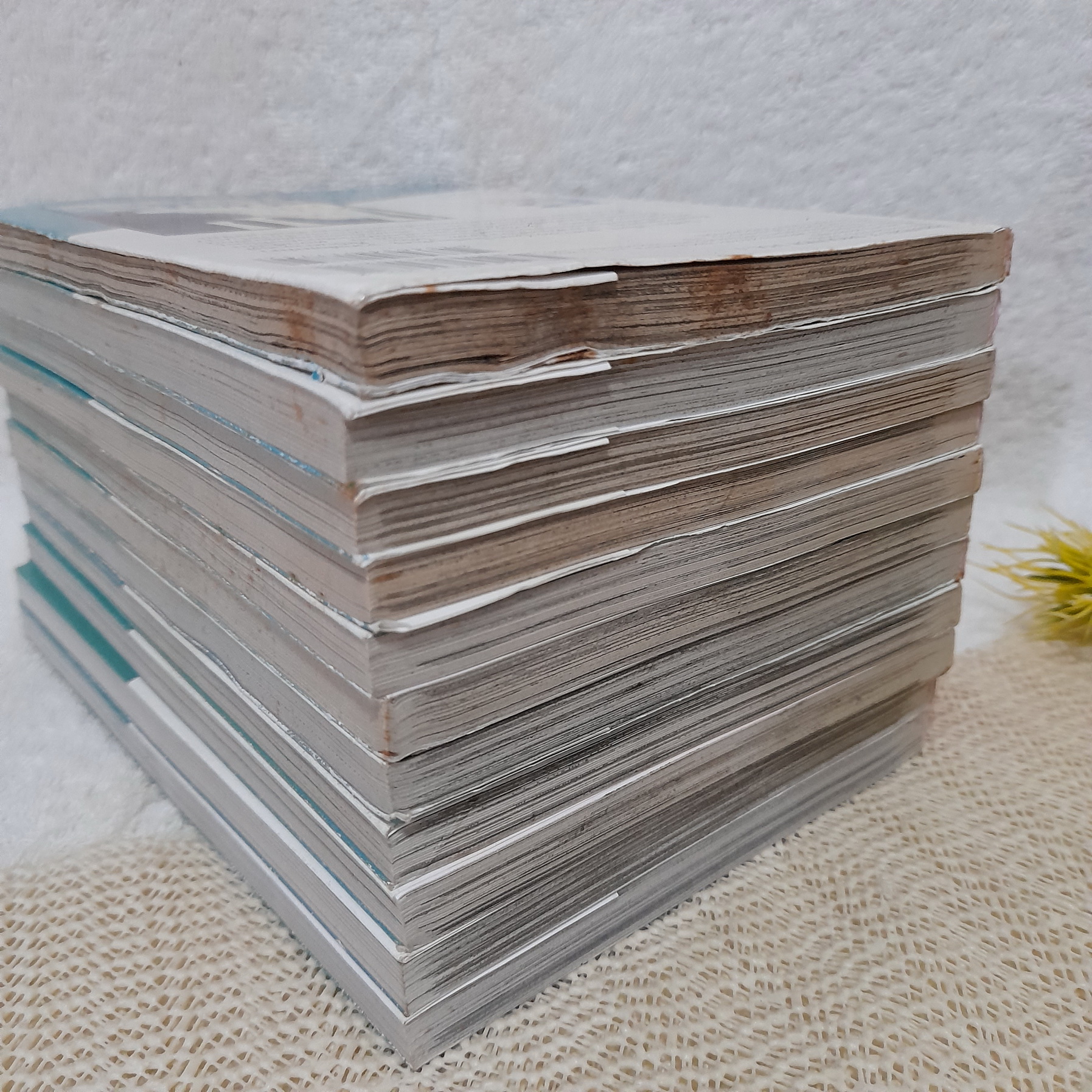 ไซโซ นินจาหลงยุค 1-11 จบ