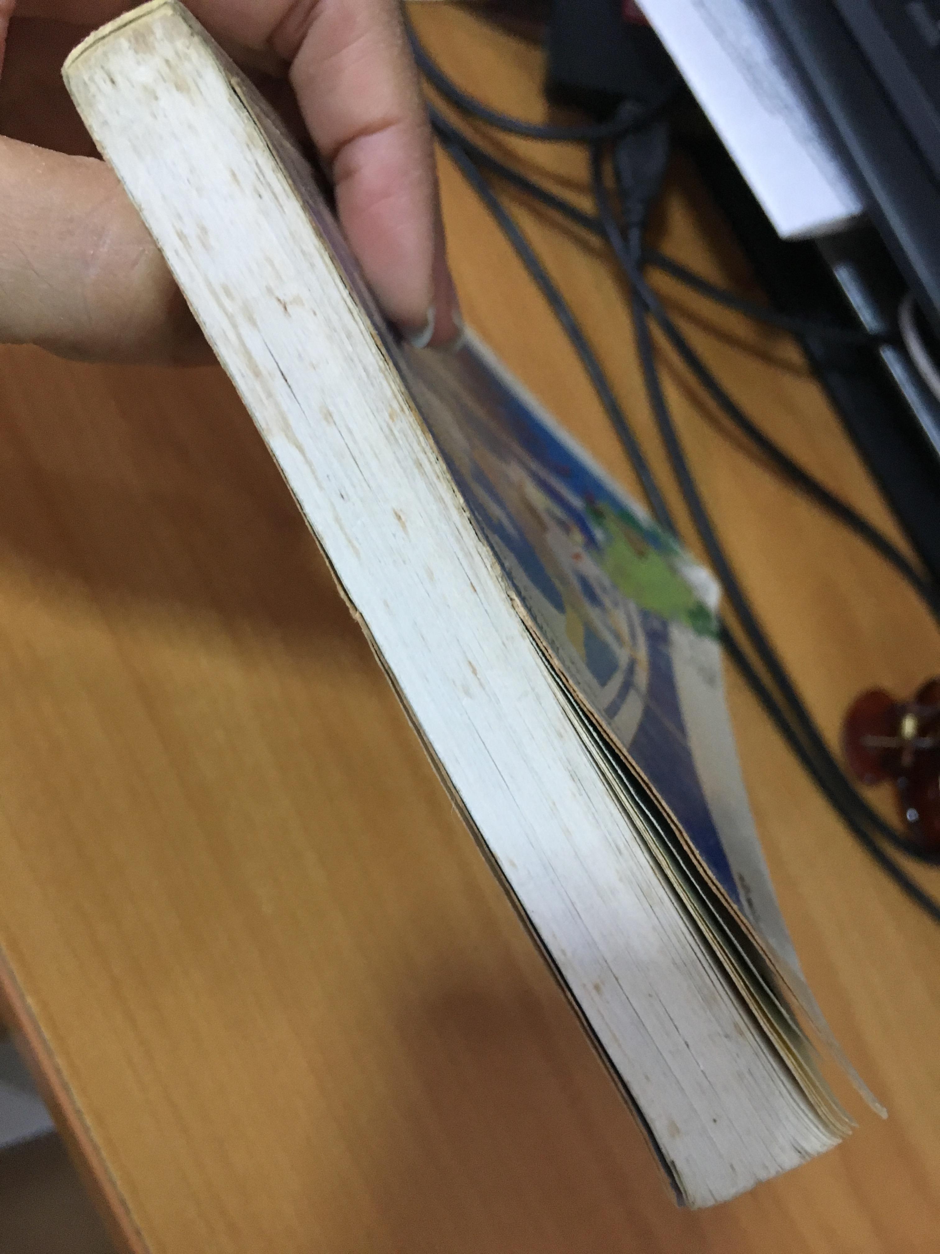 อมาญาส์ / จันทร์รำไพ