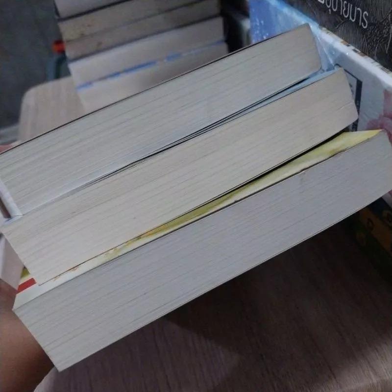 นิยายชุดพรหมลิขิตรัก ภาค วาสนาพานพบ 1-3 จบ