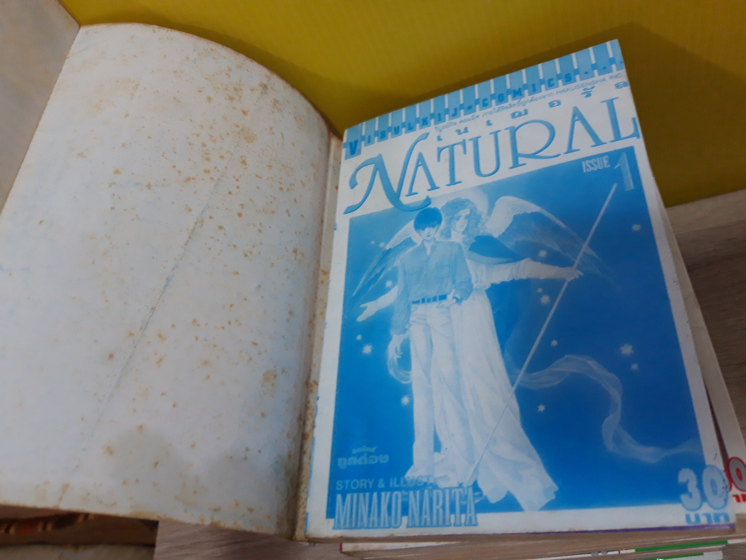 Natural 1-10 ไม่จบ * ขาดเล่ม 11 / Minako Narita