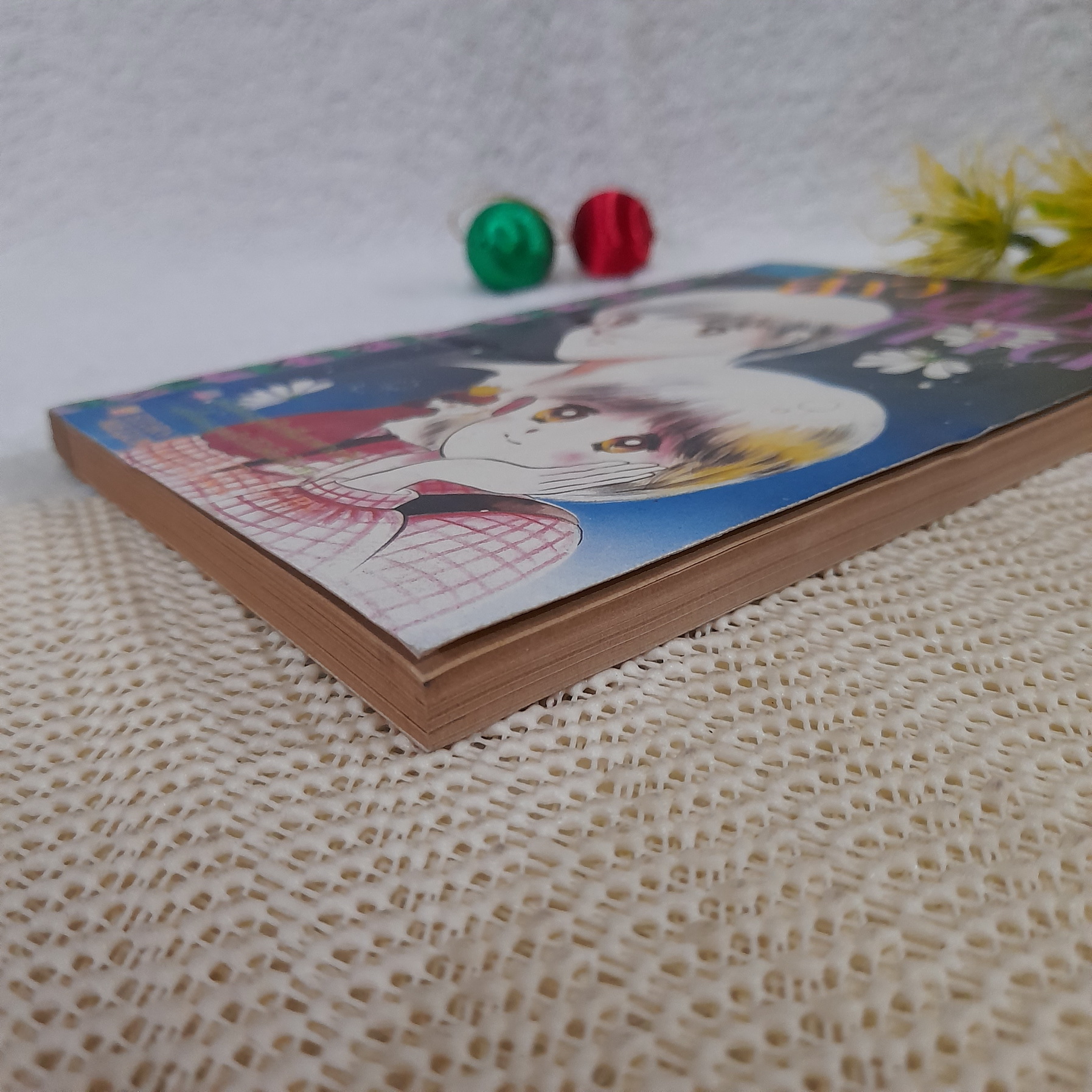 สาวสองภาค / Mizusawa Megumi