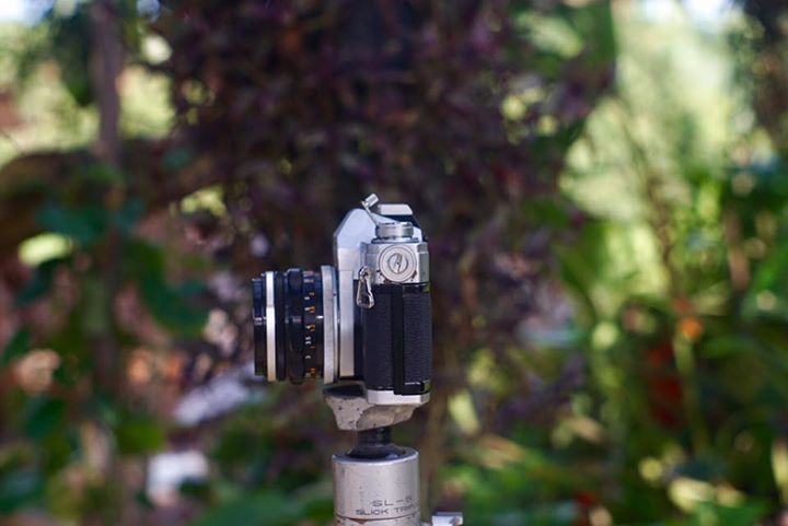 Canon FTB QL Canon Lens FL 50mm. f1.8