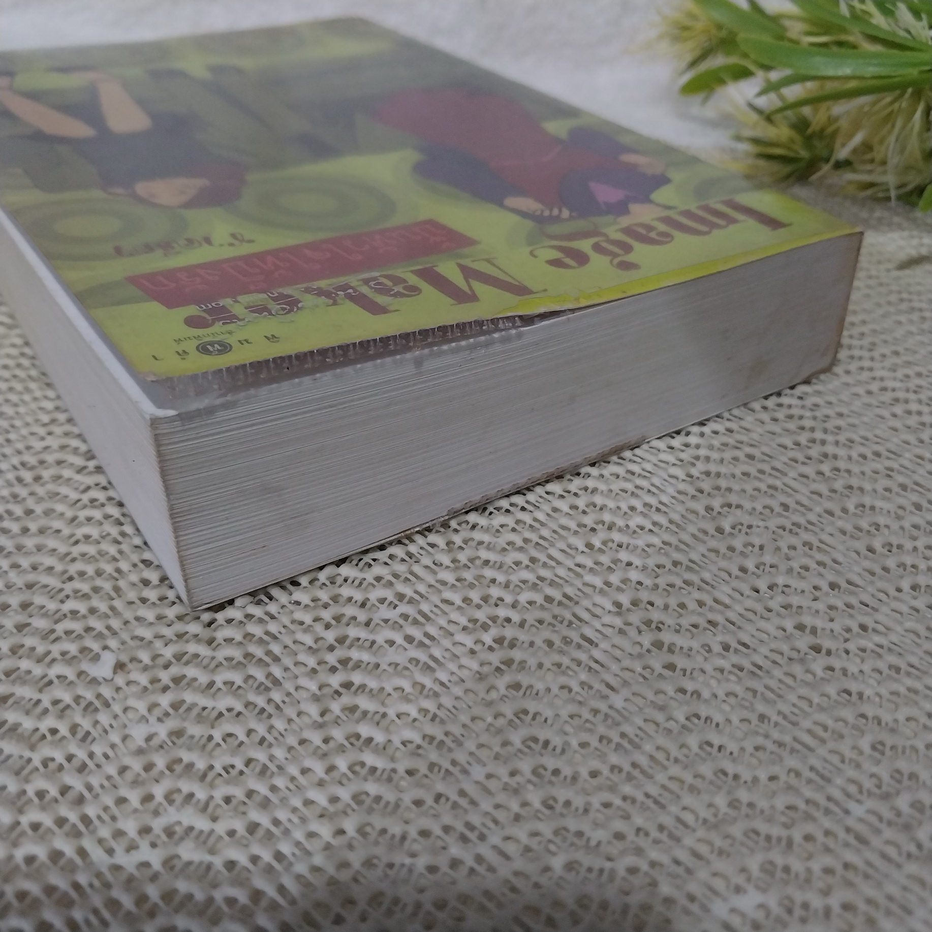 Image Maker ปั้นหัวใจให้ปิ๊งรัก / ชาครียา