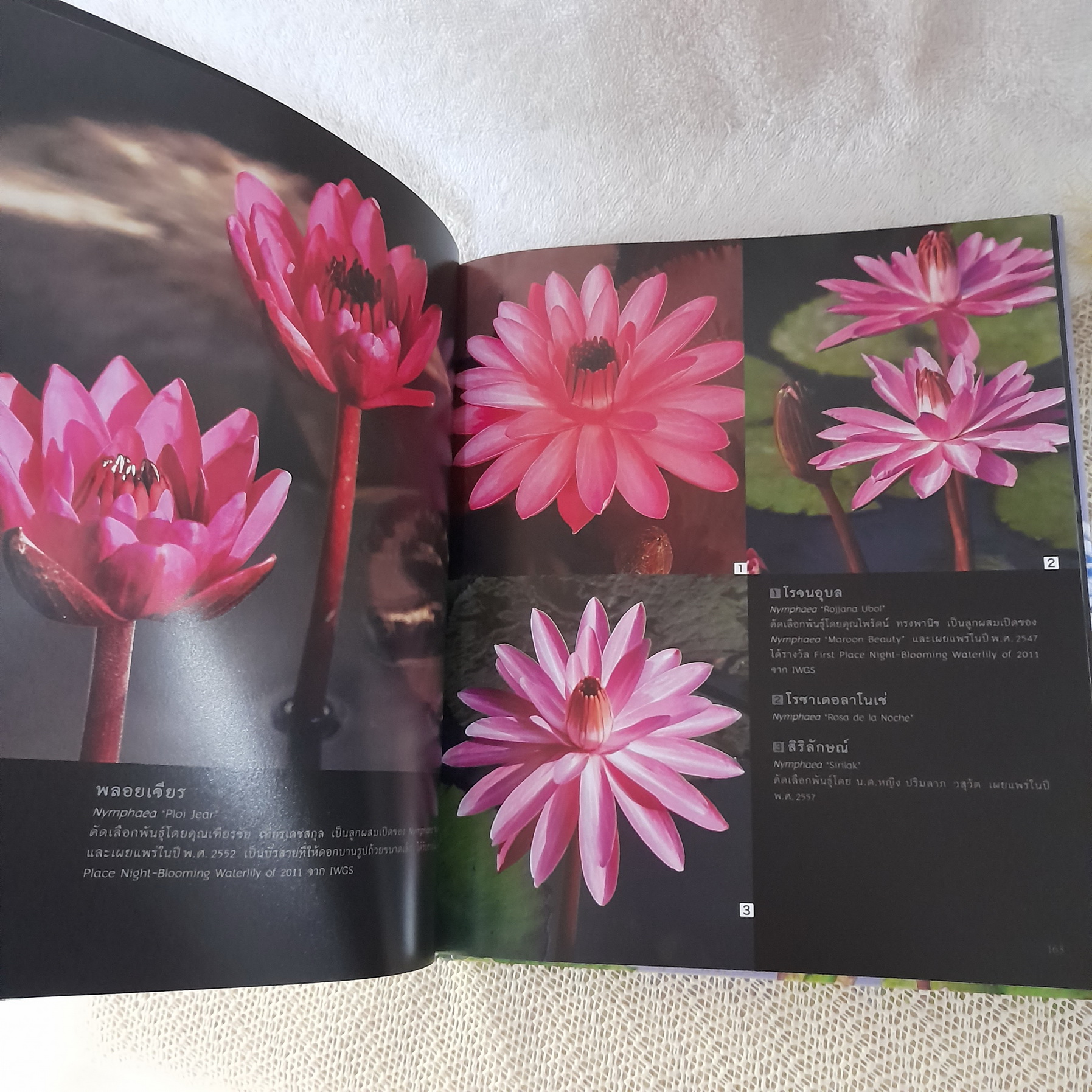 บัว Waterlilies & Lotus (ปกแข็ง) / วีระประวัติ ตรีสุวรรณ - ภวพล ศุภนันทนานนท์