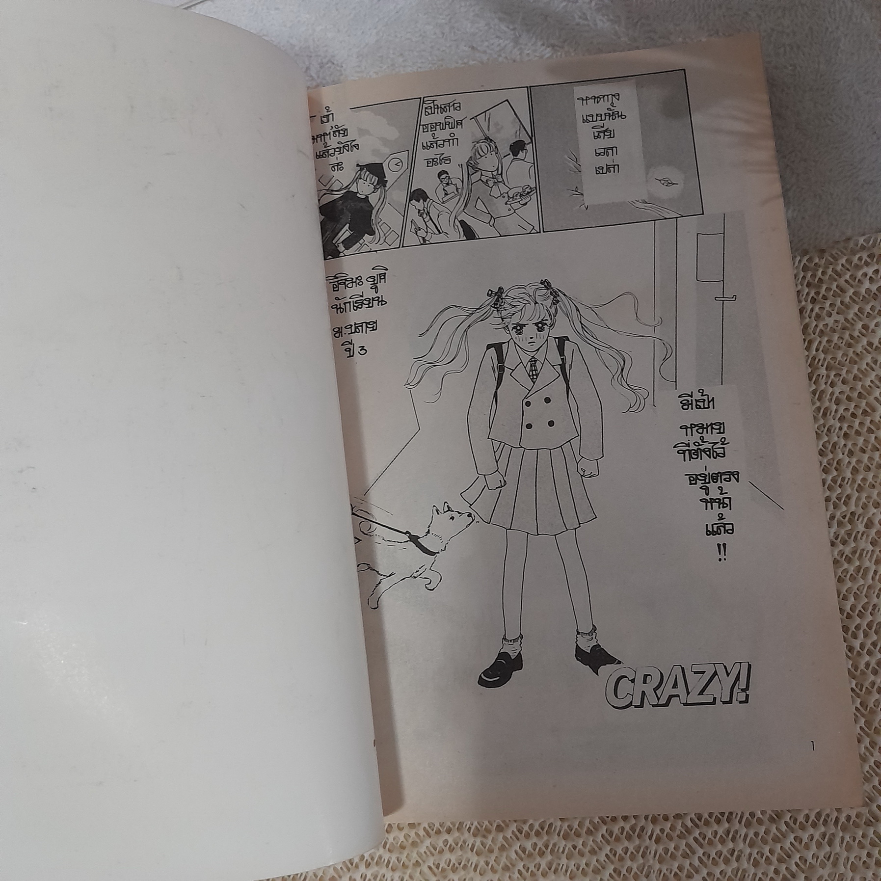 ขอรักเธอแค่คลั่ง / Ozaki Nachika