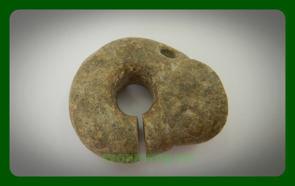 ตัวอ่อนมังกร