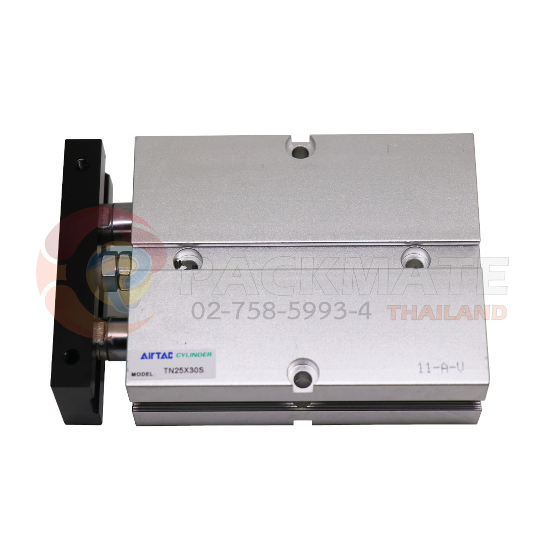 TWIN-ROD CYLINDER (TN25X30S)