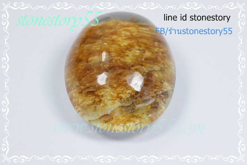 แก้วกาบสวยใสเนียน