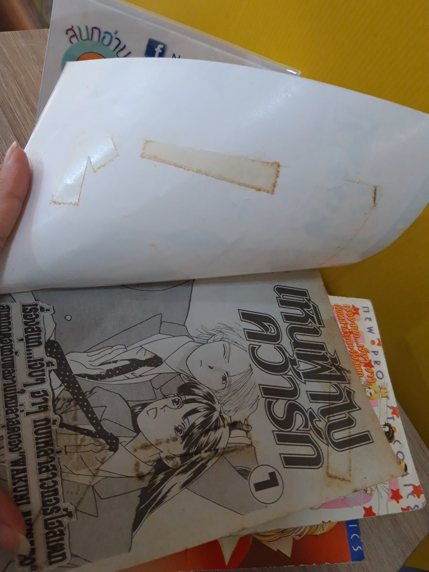 เหินฟ้าไปคว้ารัก Part 1 เล่ม 1 Part 2-4 จบ / * ขาด Part 1 เล่ม 2