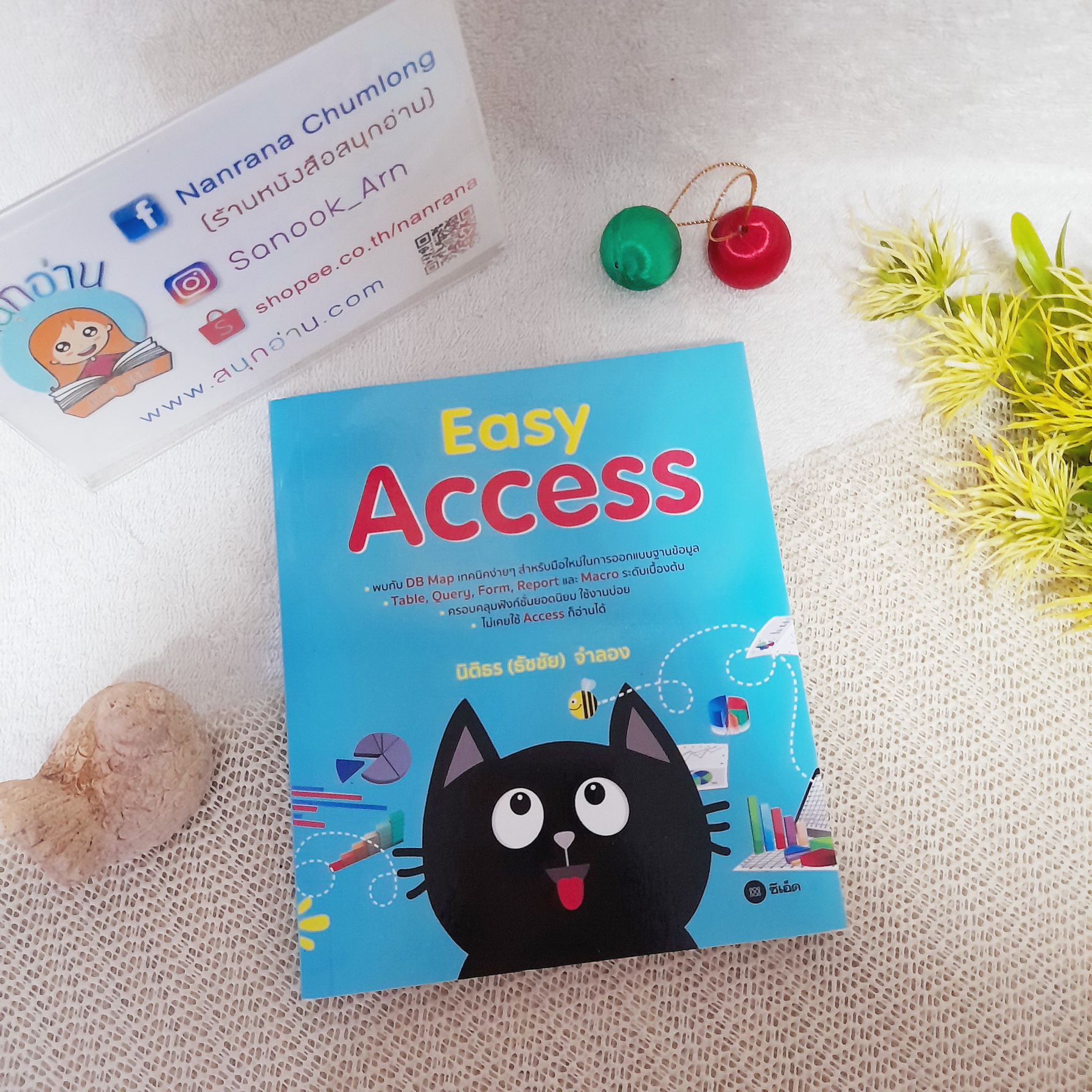 Easy Access / นิติธร (ธัชชัย) จำลอง