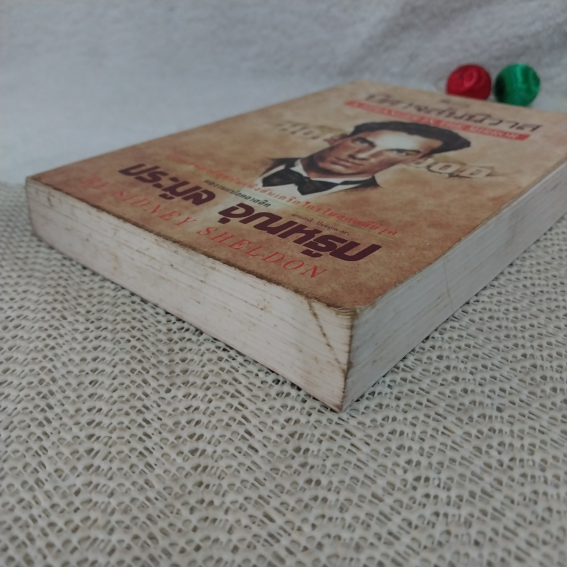 ปีศาจสันนิวาส (A Stranger in the Mirror) / Sidney Sheldon (ประมูล อุณหธูป แปล)