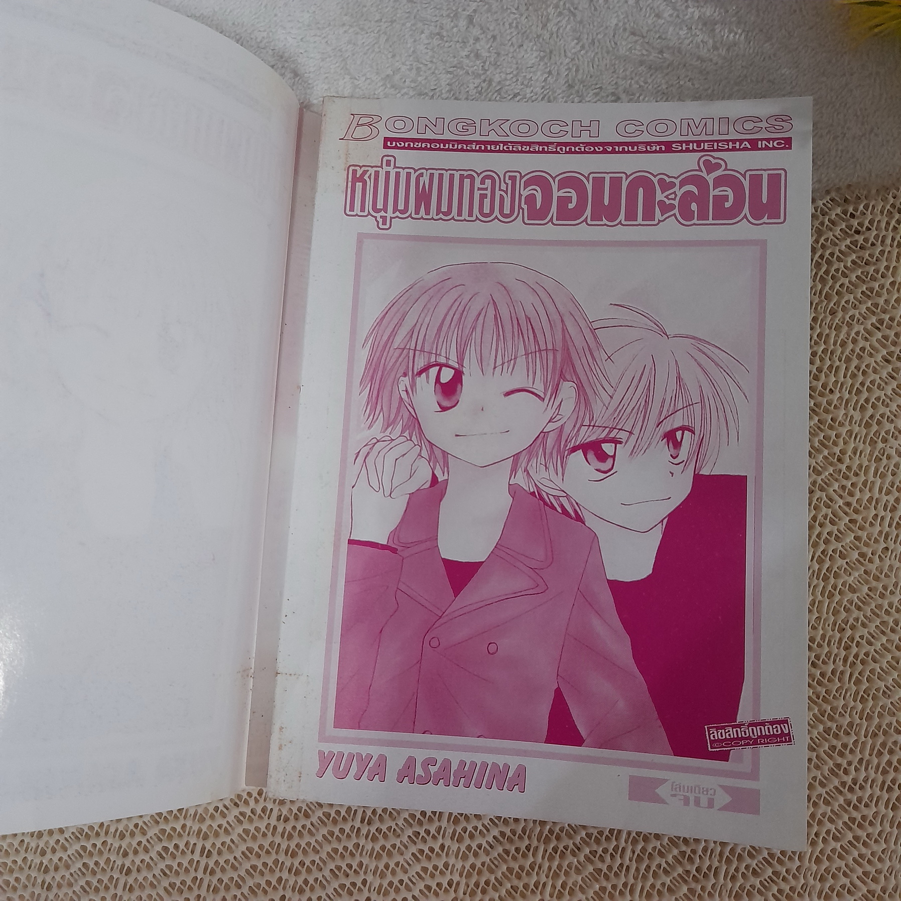 หนุ่มผมทองจอมกะล่อน / Yuya Asahina