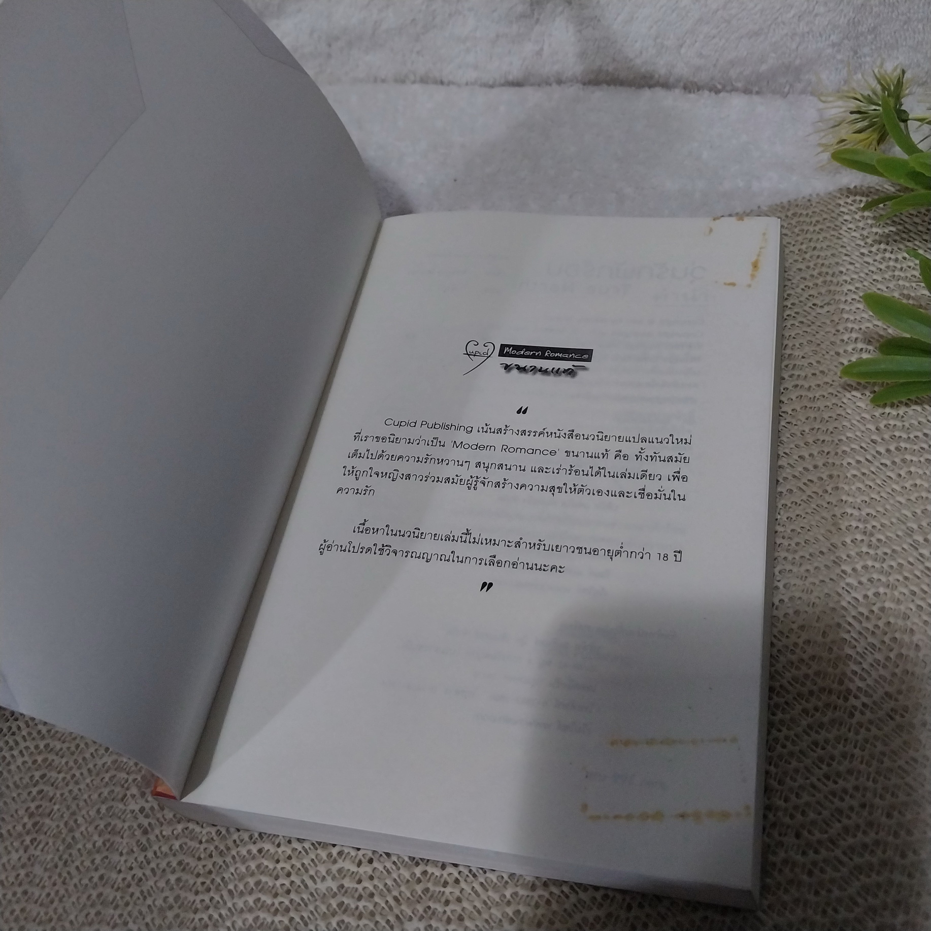 วุ่นรักพักร้อน (True North) / Beverly Brandt