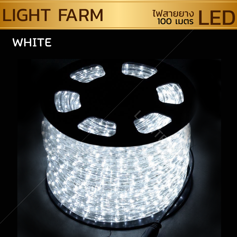 ไฟสายยาง ท่อกลม LED 100 m สีขาว