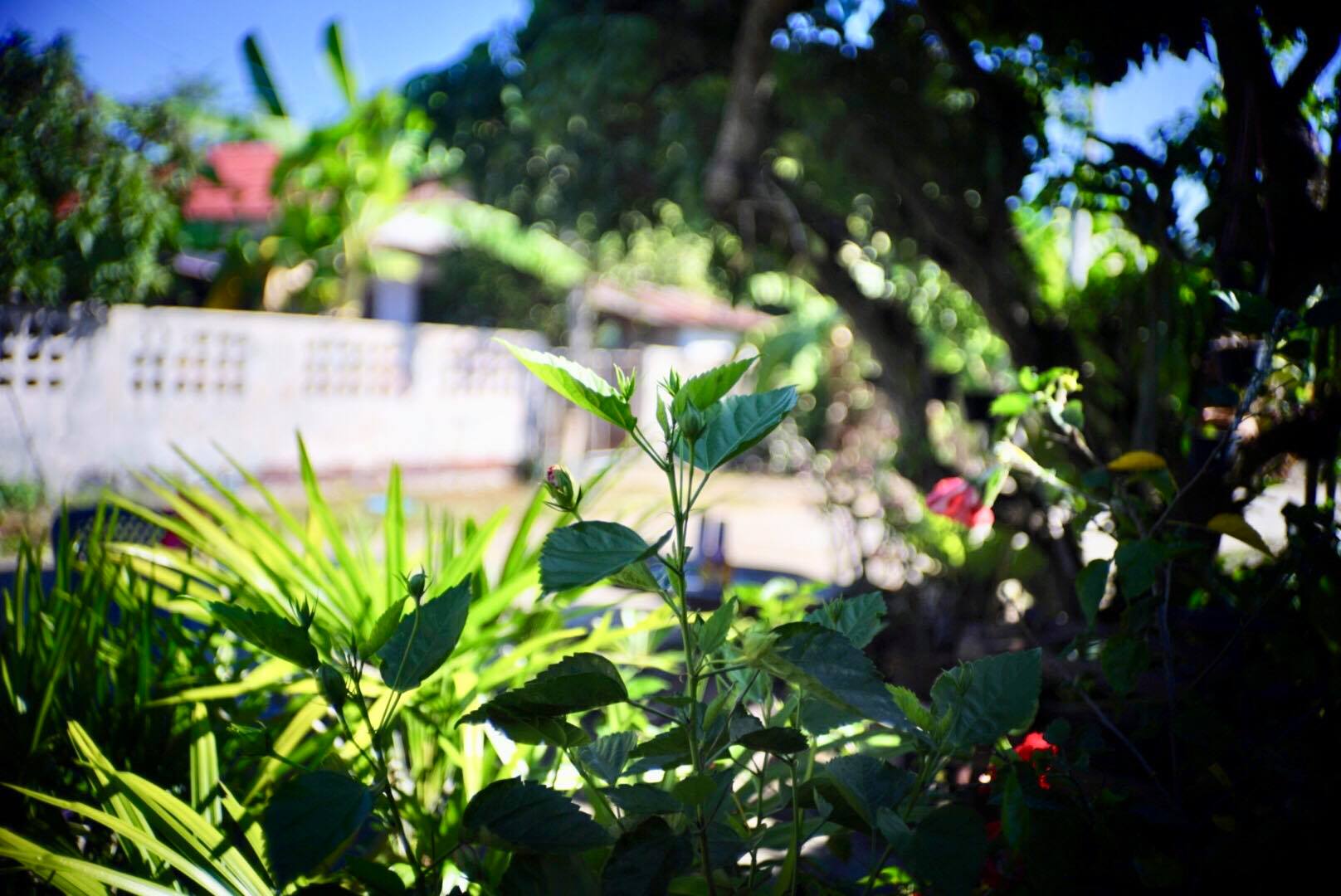CANON LENS 38MM.F2.8 MODIFLY E MOUNT
