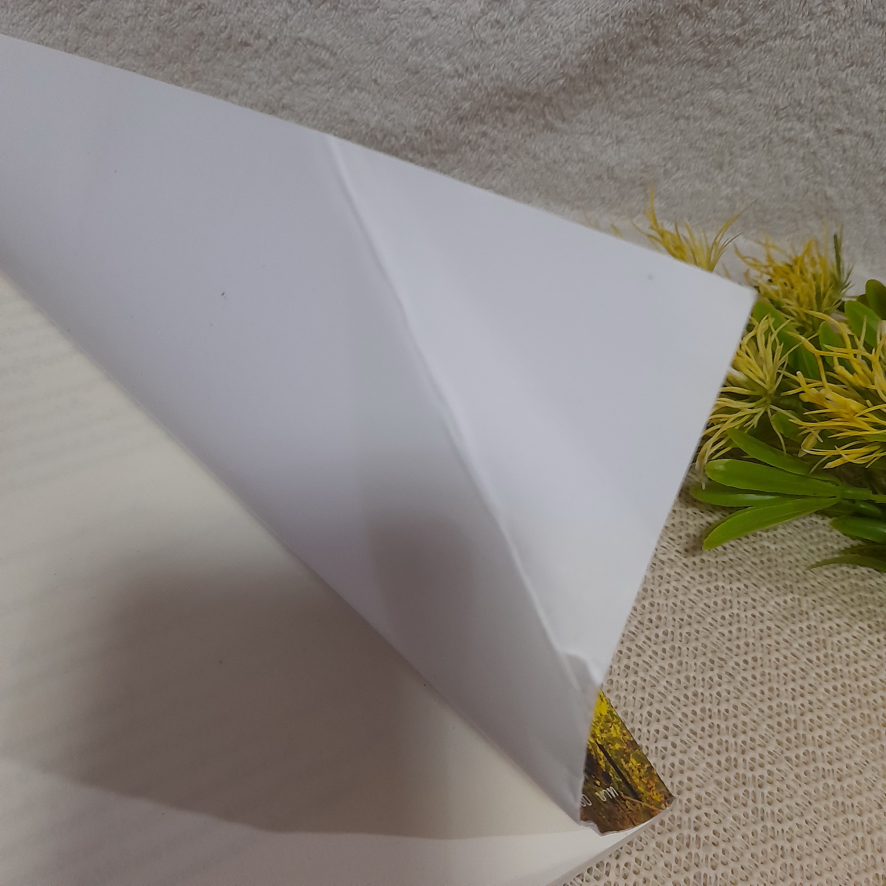 รักเอ๋ยรัก / ไพนารี