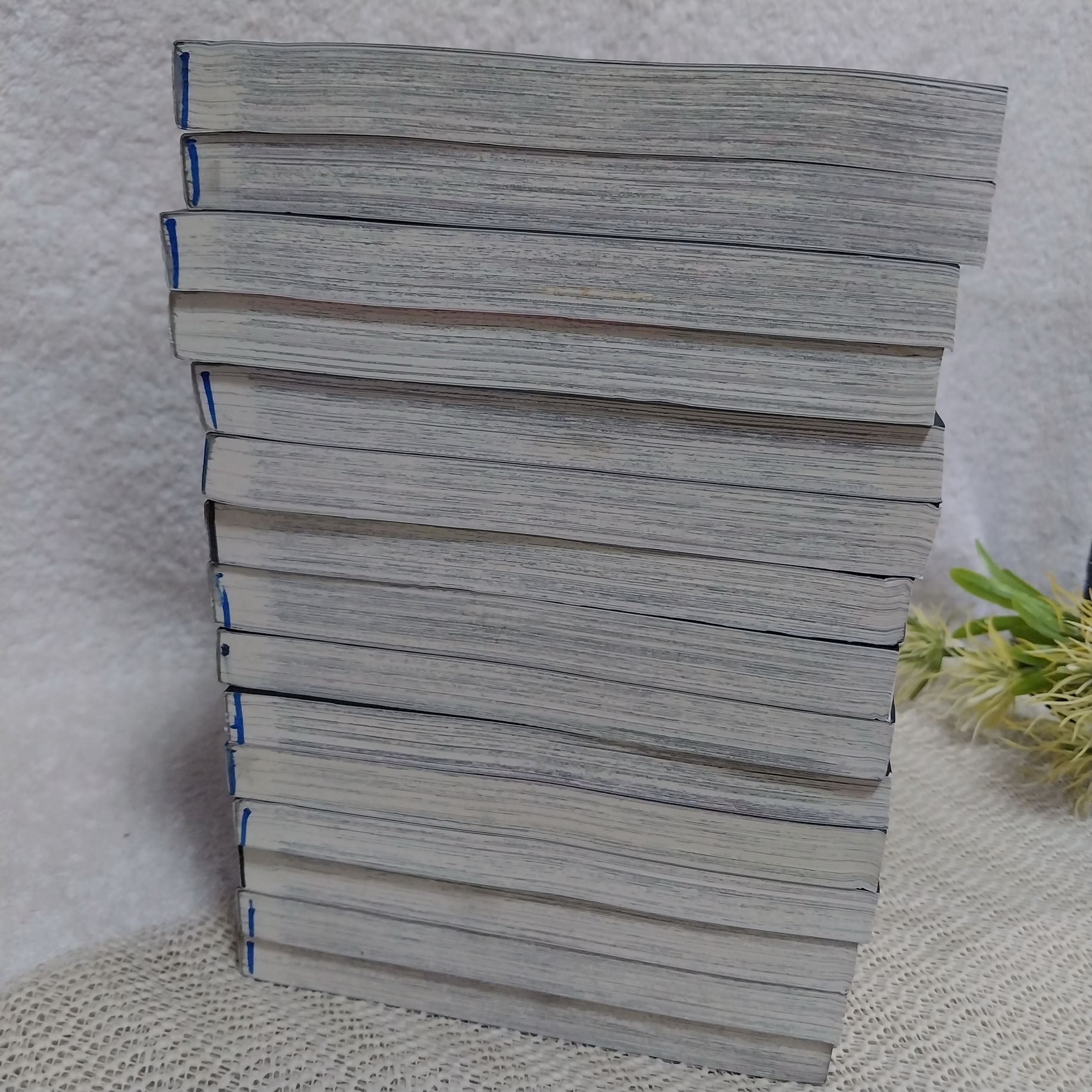 CAT's EYE 1-15 จบ