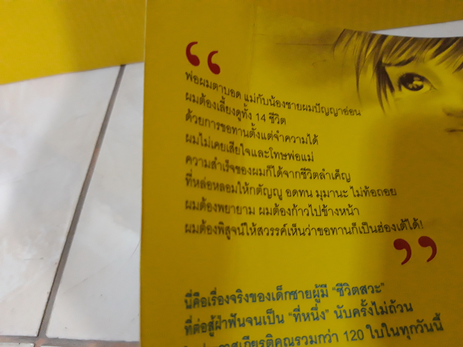 ไล่ตงจิ้นลูกขอทาน ฉบับการ์ตูน