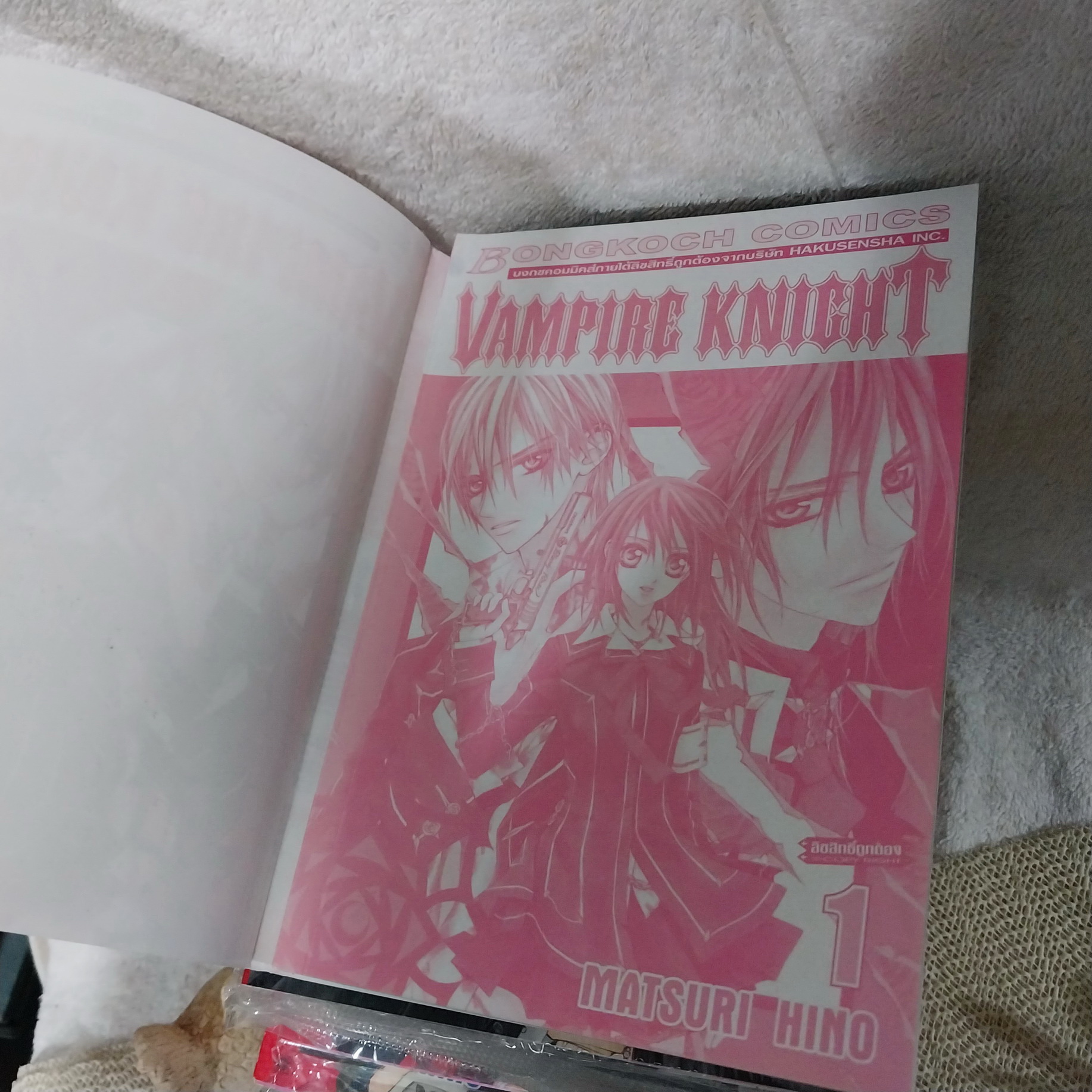 Vampire Knight 1-19 จบ