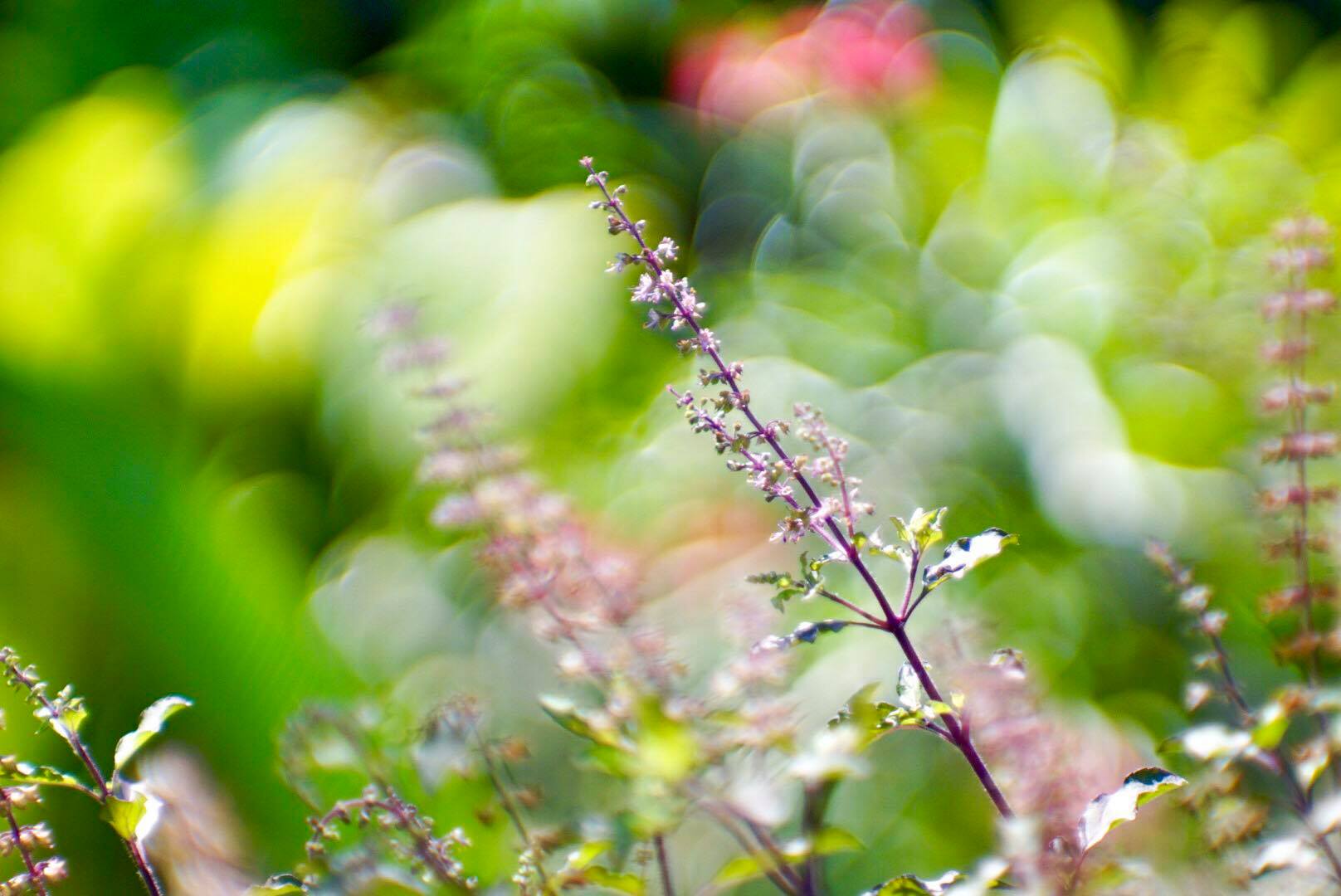 JUPITER-9 85MM.F2 M42 MOUNT