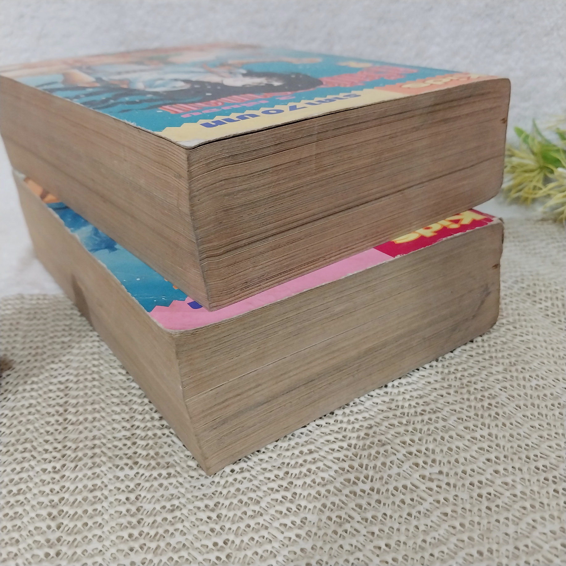 คริสตัล ดรากอน 1-2 จบ