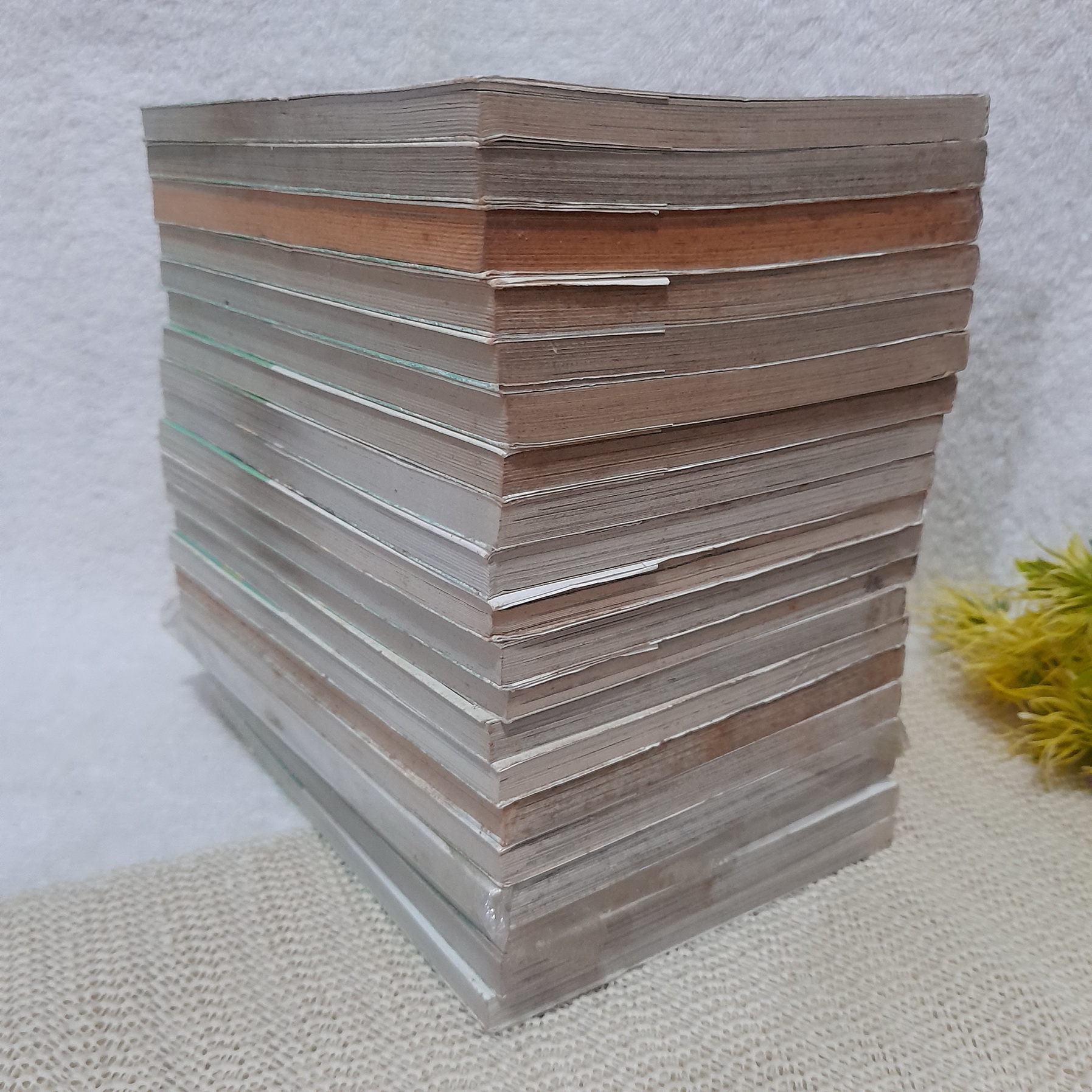 สับขั้วมาลุ้นรัก 1-23 จบ