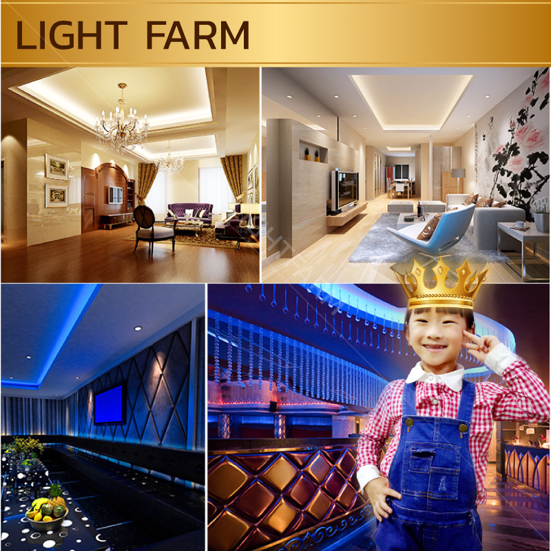 ไฟสายยาง SMD 5050 (100 m.) สีเขียว (ท่อแบน)