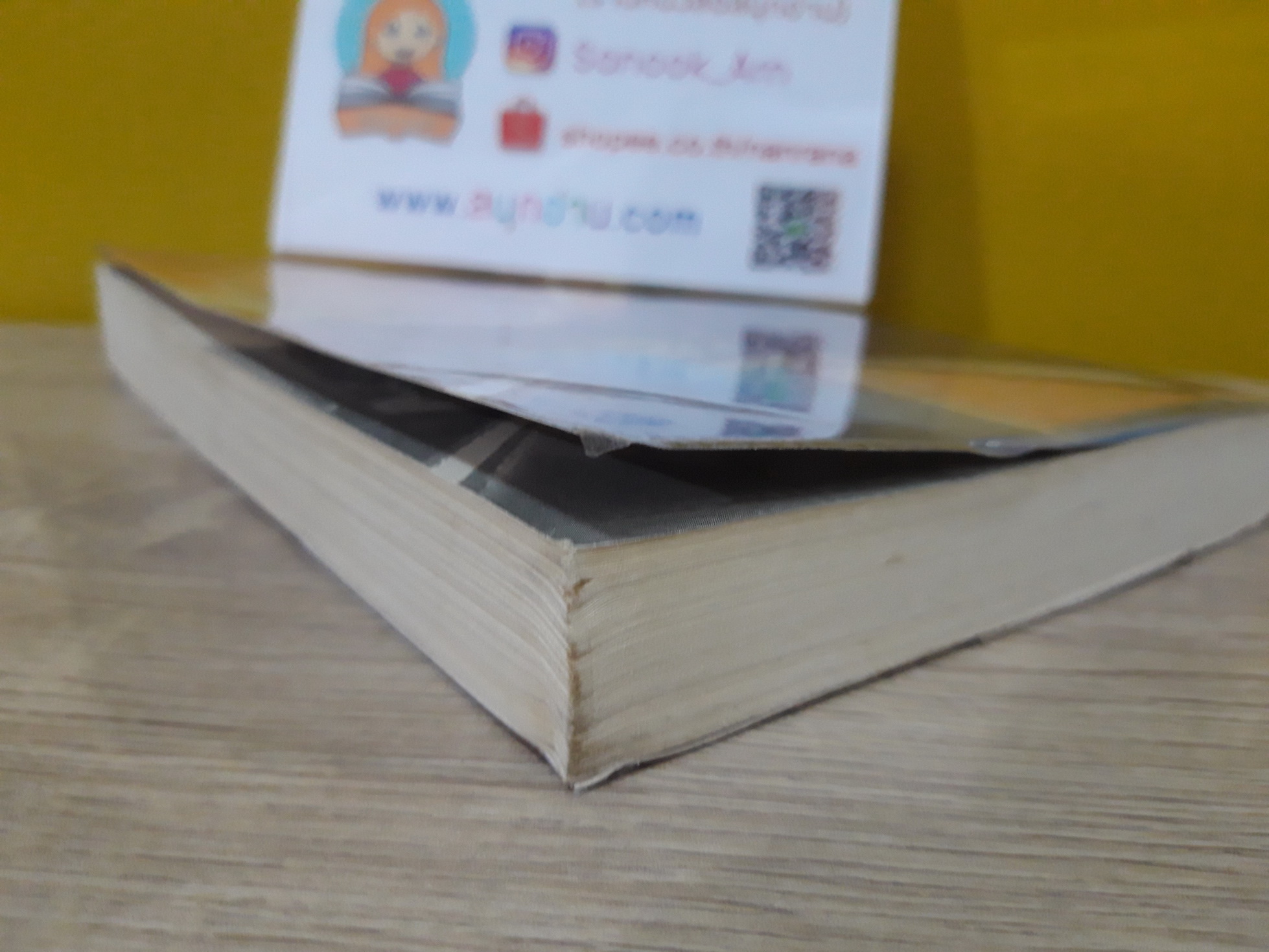 เรือนพะยอม / รอมแพง