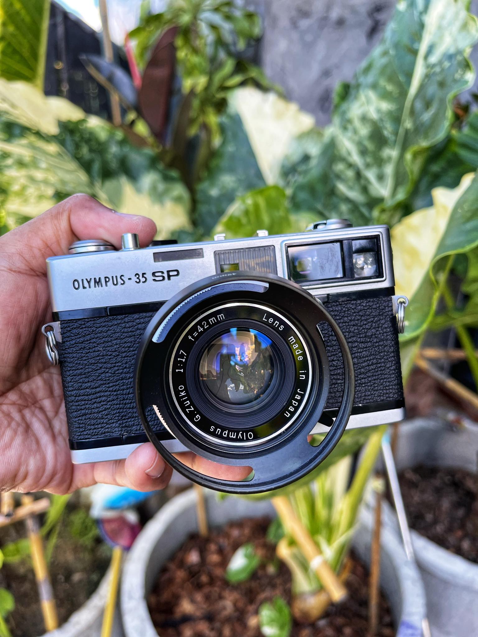 OLYMPUS 35SP