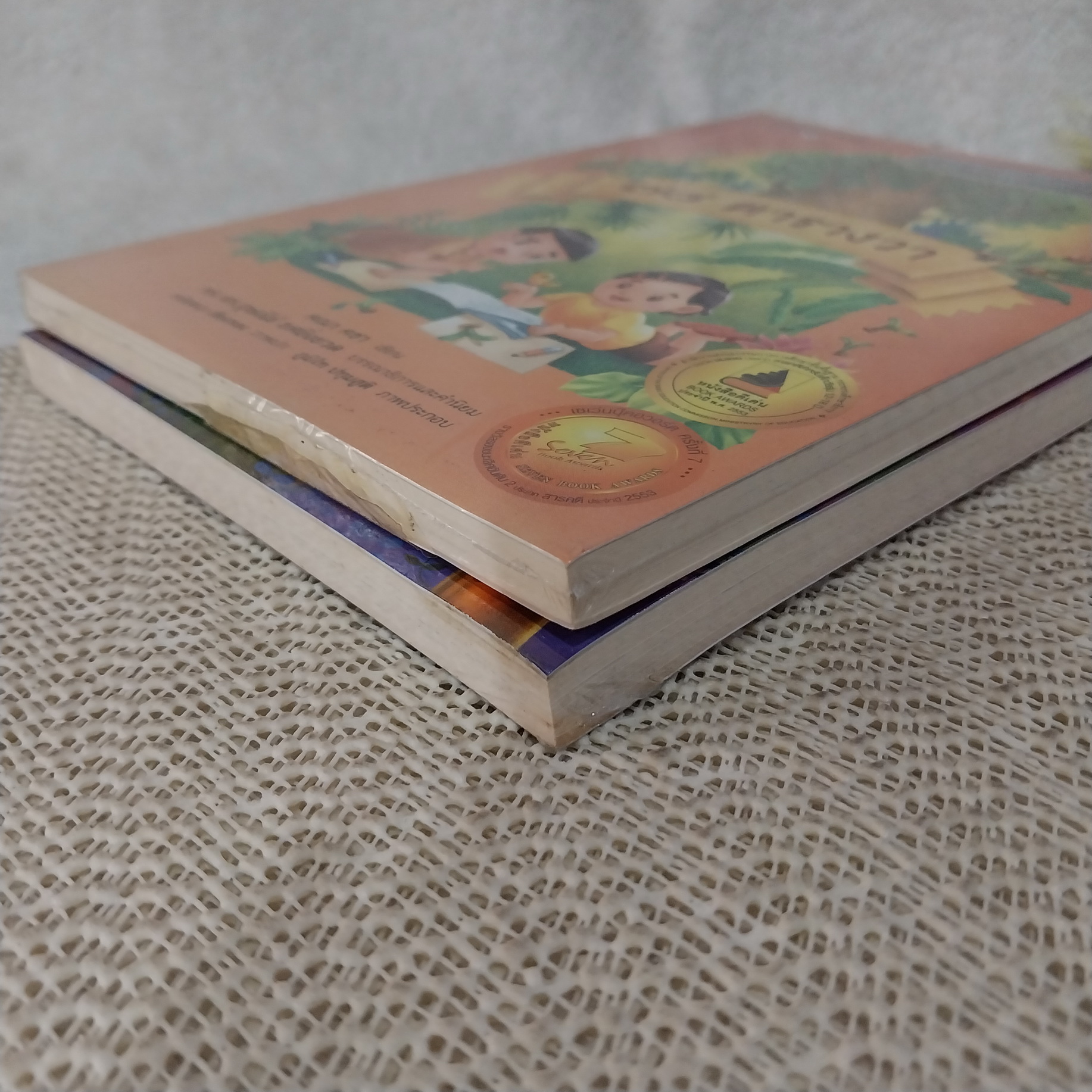 วรรณกรรมเยาวชน แว่นแก้ว : 78 ตารางวา / ฃวดฅนอยู่หนใด (ขายแยกเล่ม)
