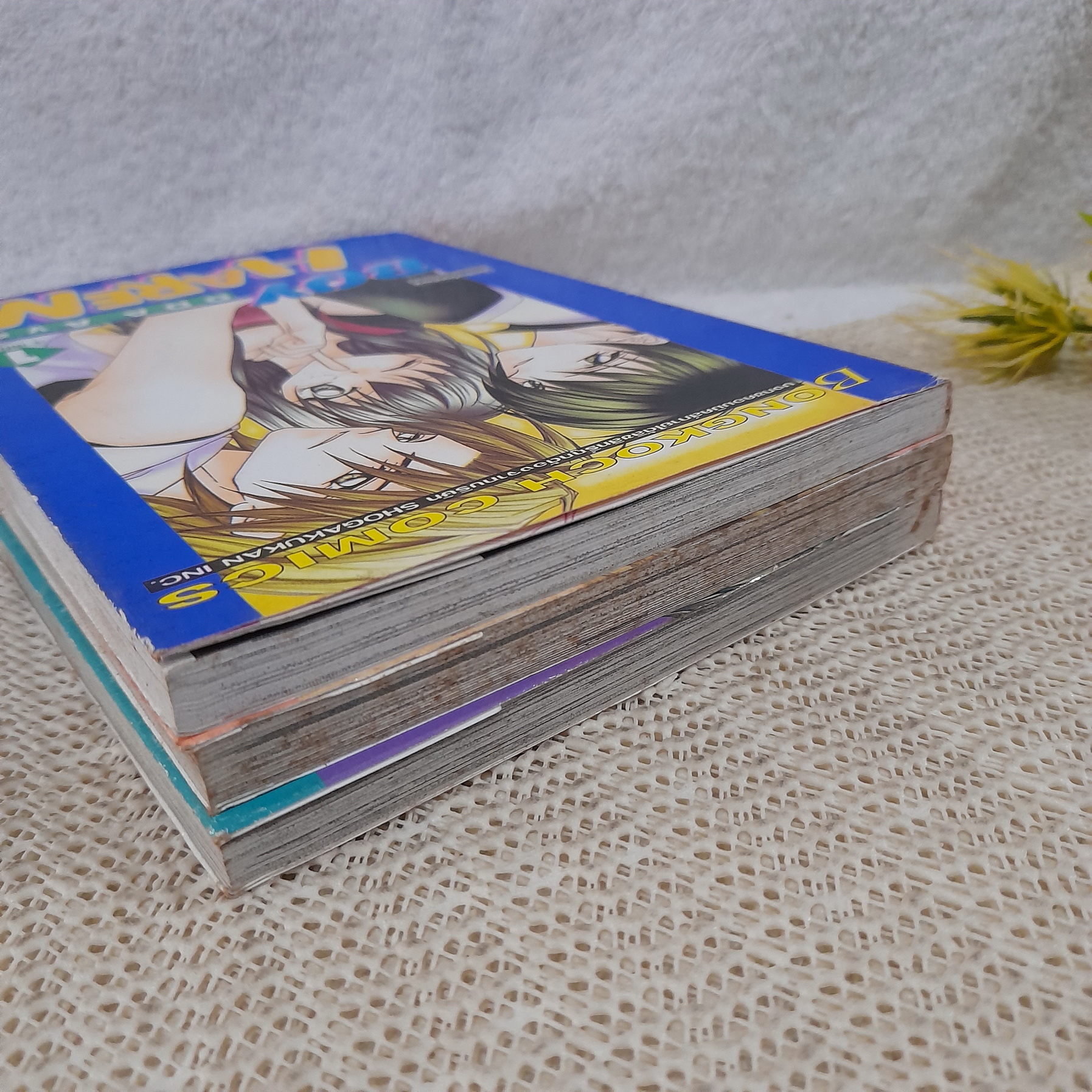 Boy Harem 1-3 จบ