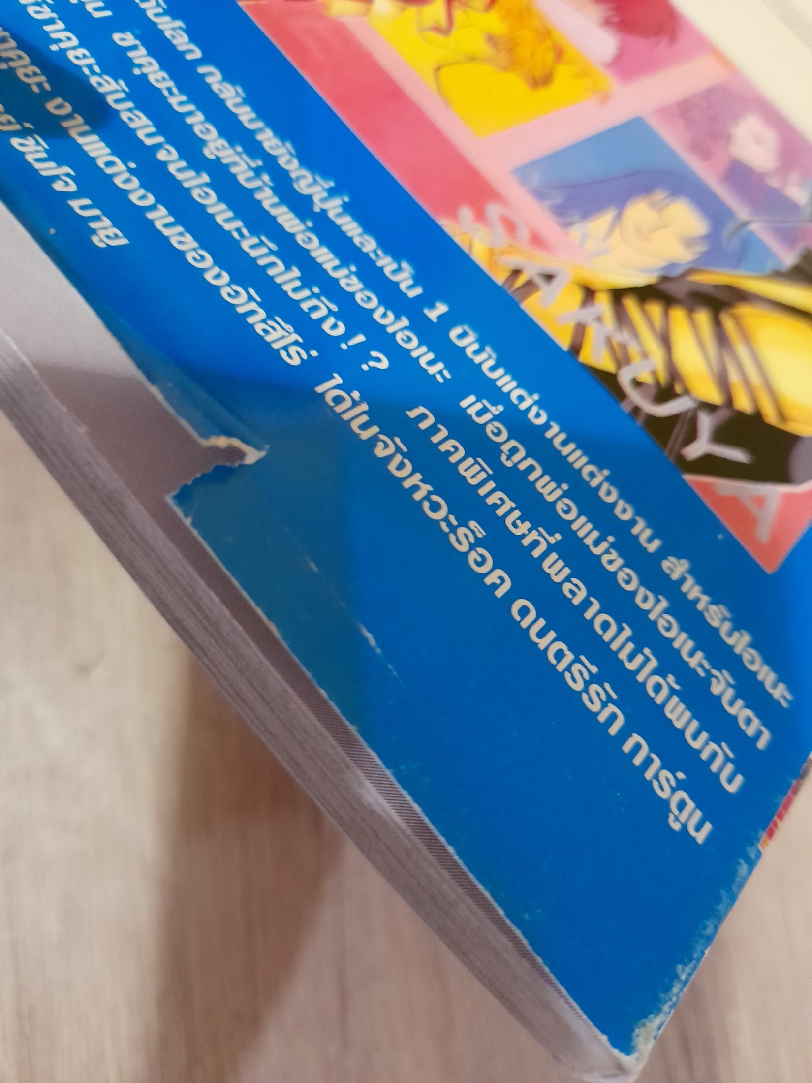 จังหวะร็อค ดนตรีรัก ชีวิตหลังแต่งงานของไอเนะ / Shinjo Mayu