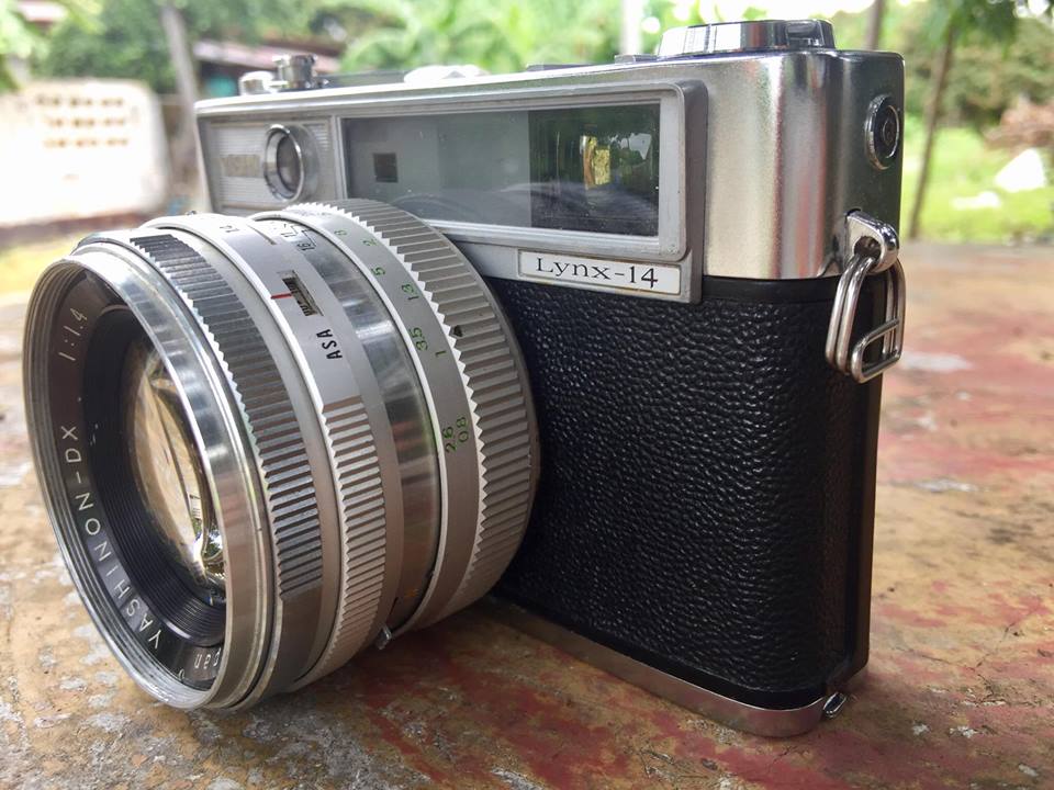 YASHICA LYNX-14 - ฟิล์มคาเมร่า เชียงใหม่ซ๊อป : Inspired by