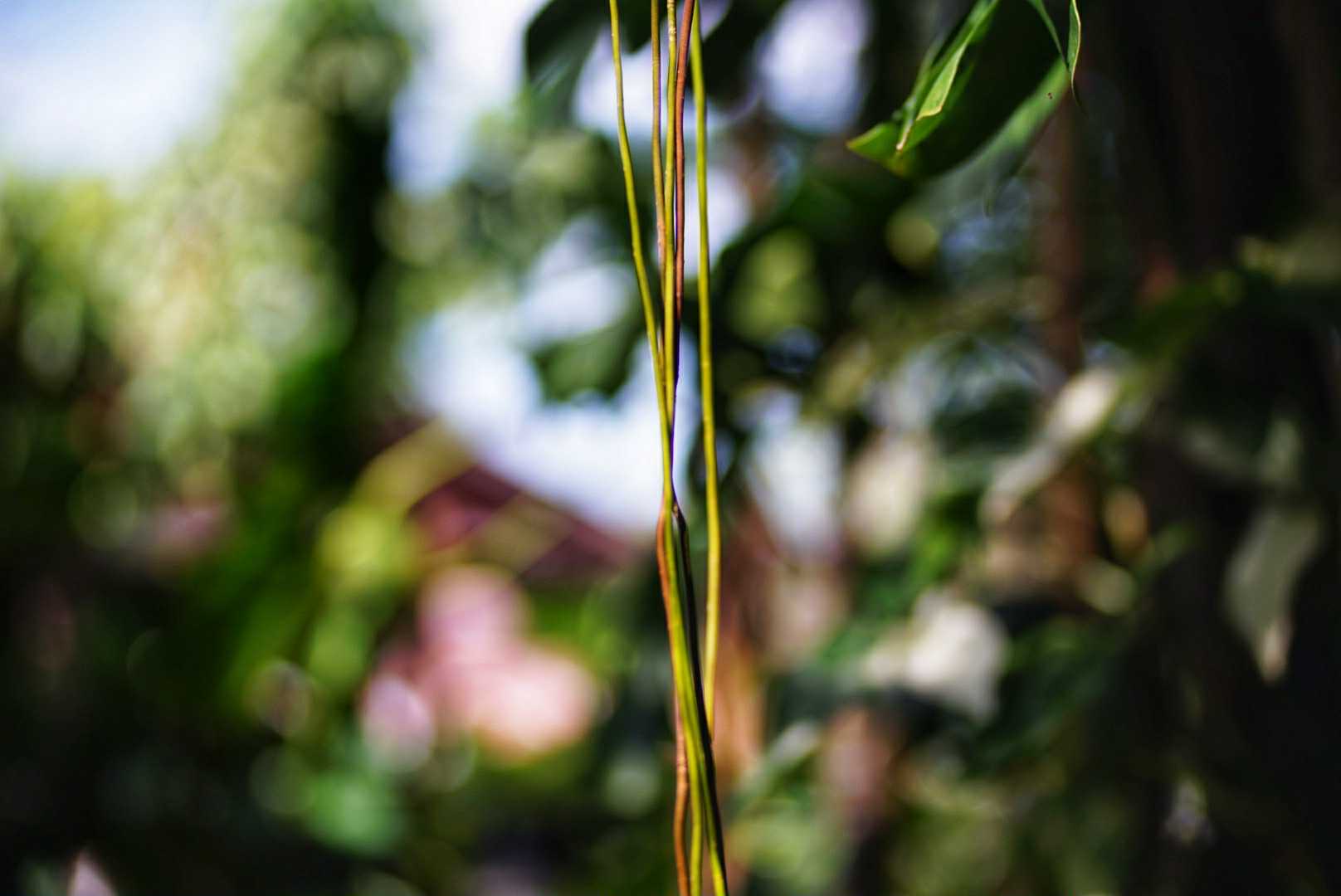 ISCO 85MM.F2.4 MODIFLY M42 MOUNT