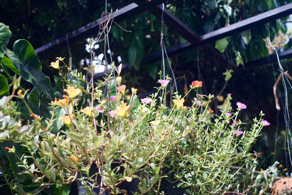 MINOLTA MD W. ROKKOR 28MM. F2.8 MD MOUNT