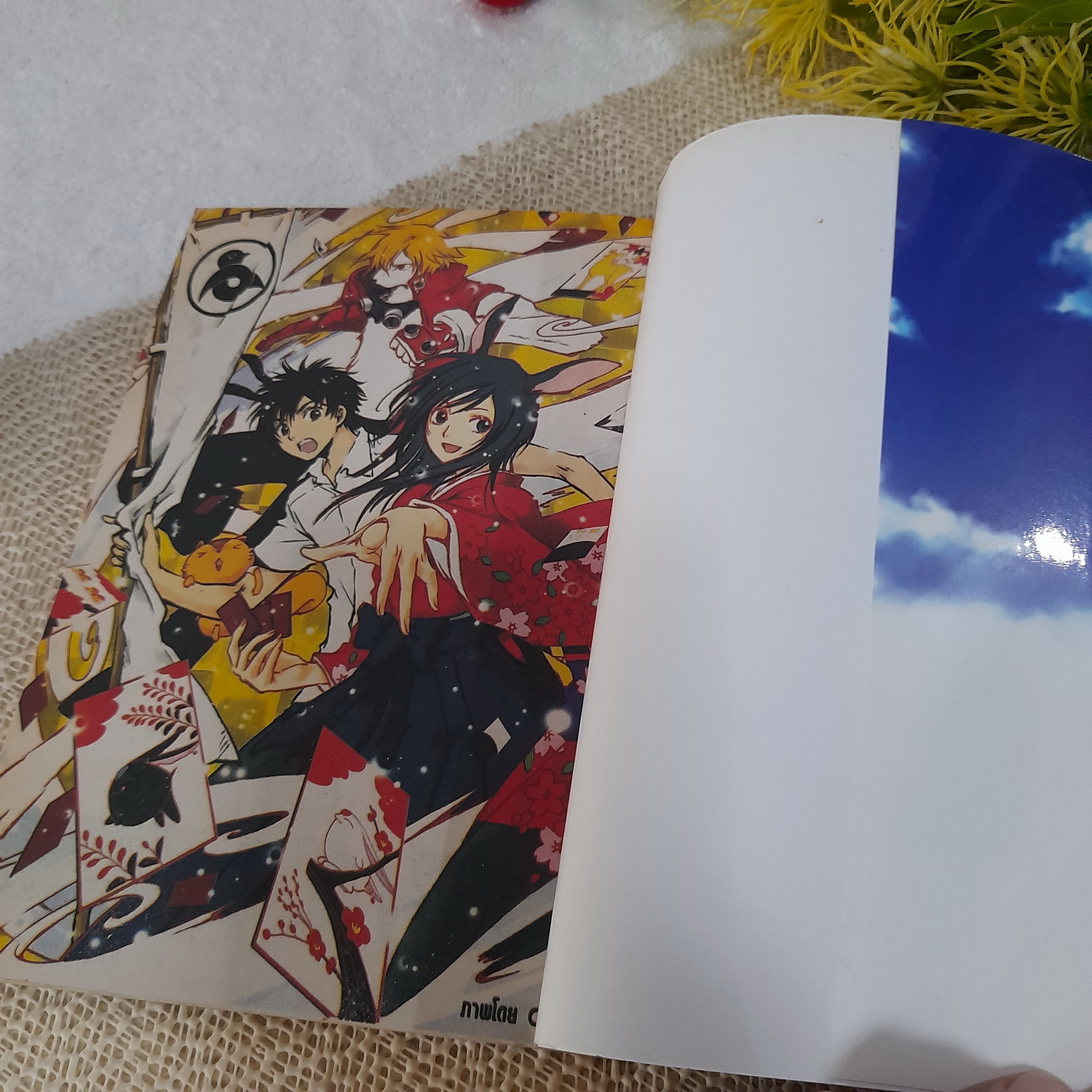 Summer Wars เรื่องวุ่น ตระกูลใหญ่ Anthology