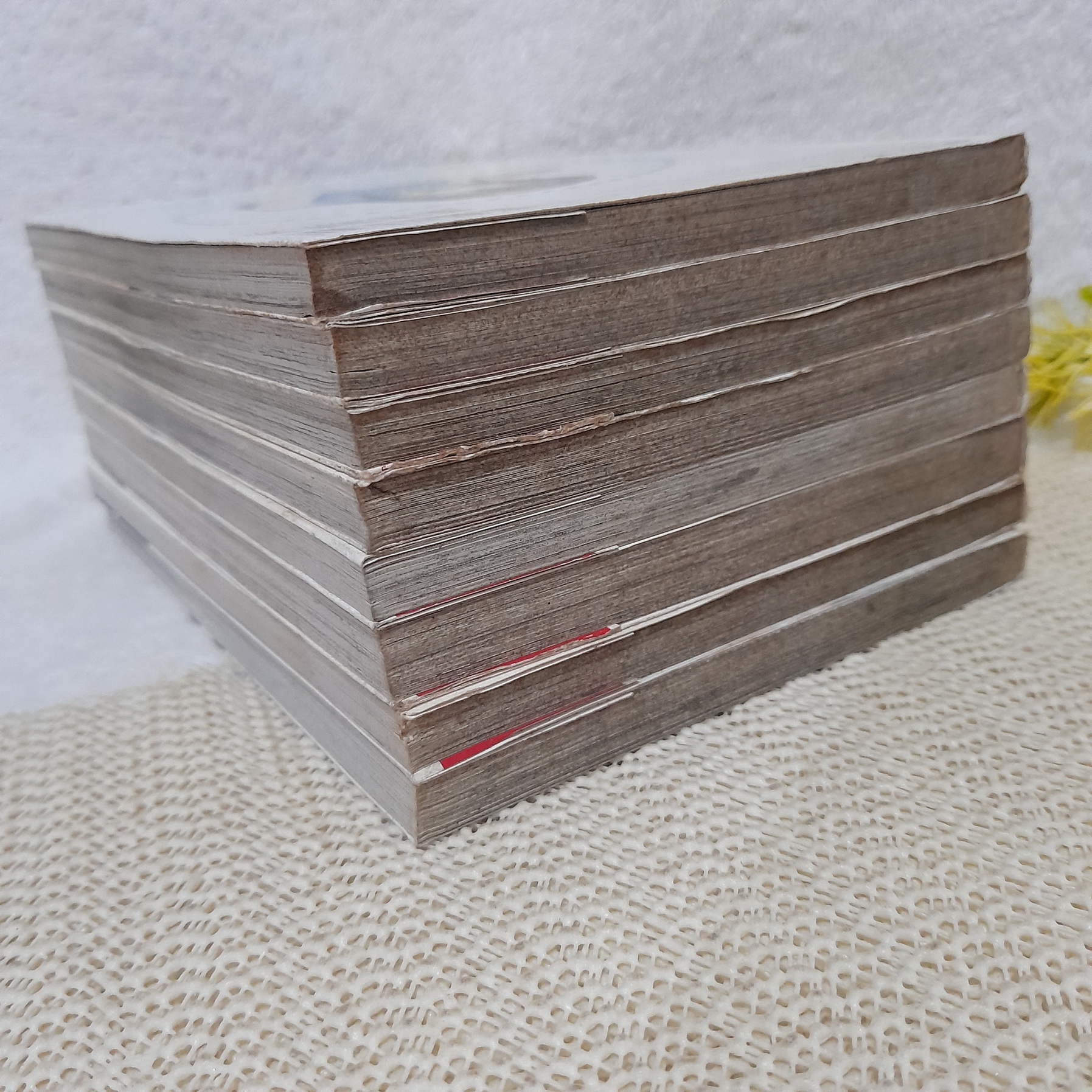 เมื่อผมกับเธอ XXX 1-8 จบ