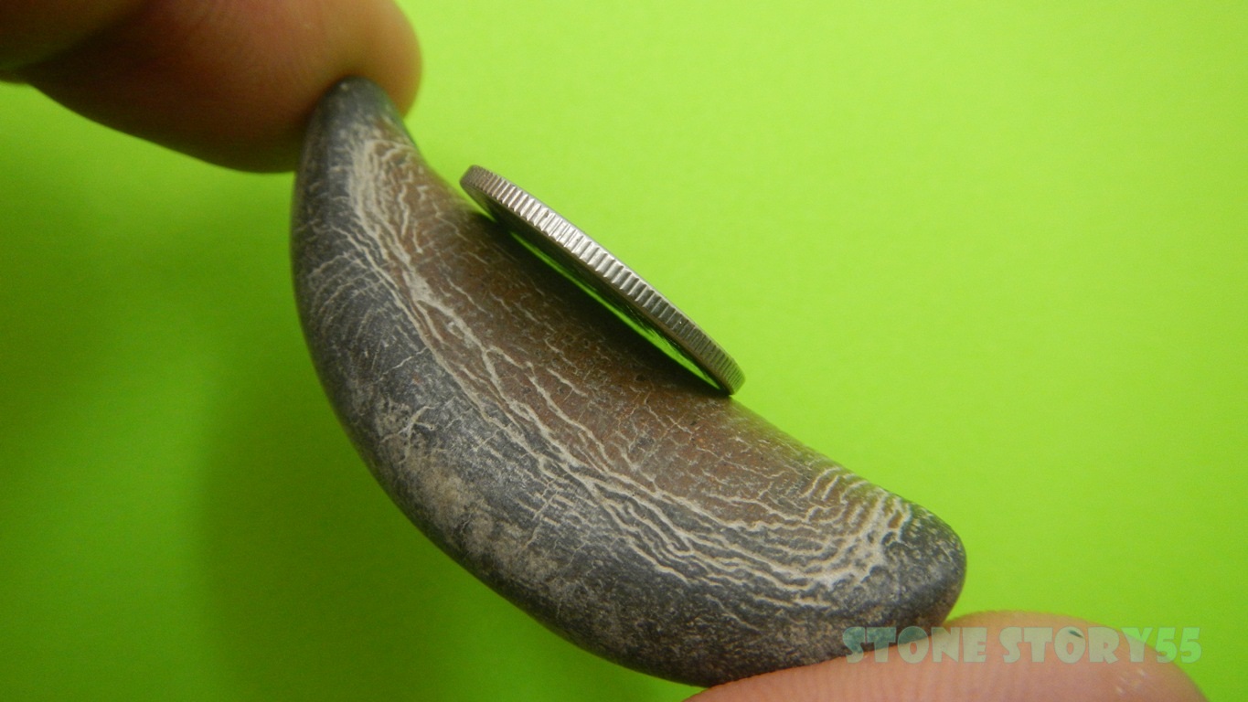 ปลิงเรียกทรัพย์ ขายแล้วครับ