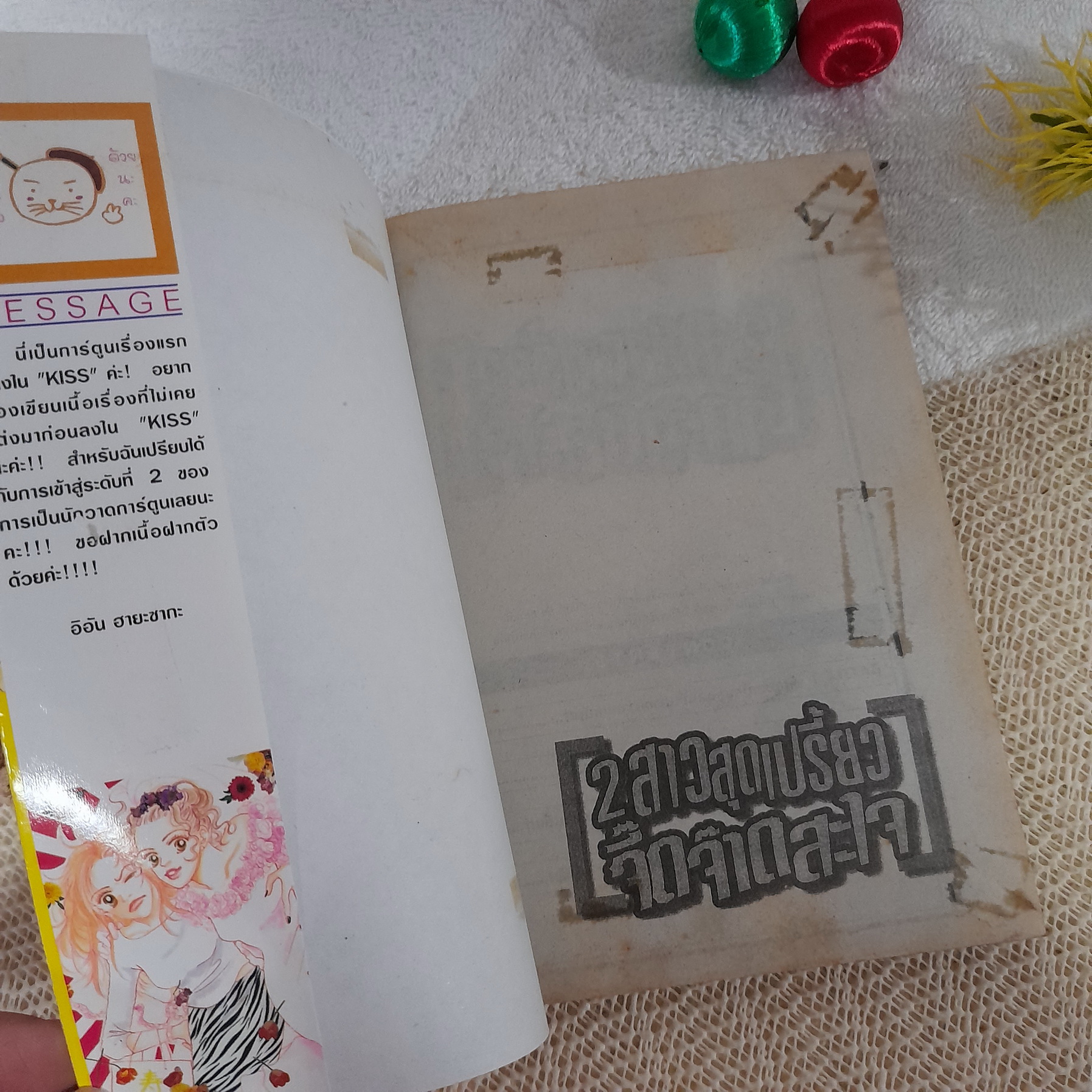 2 สาวสุดเปรี้ยวจี๊ดจ๊าดสะใจ / Ian Hayasaka