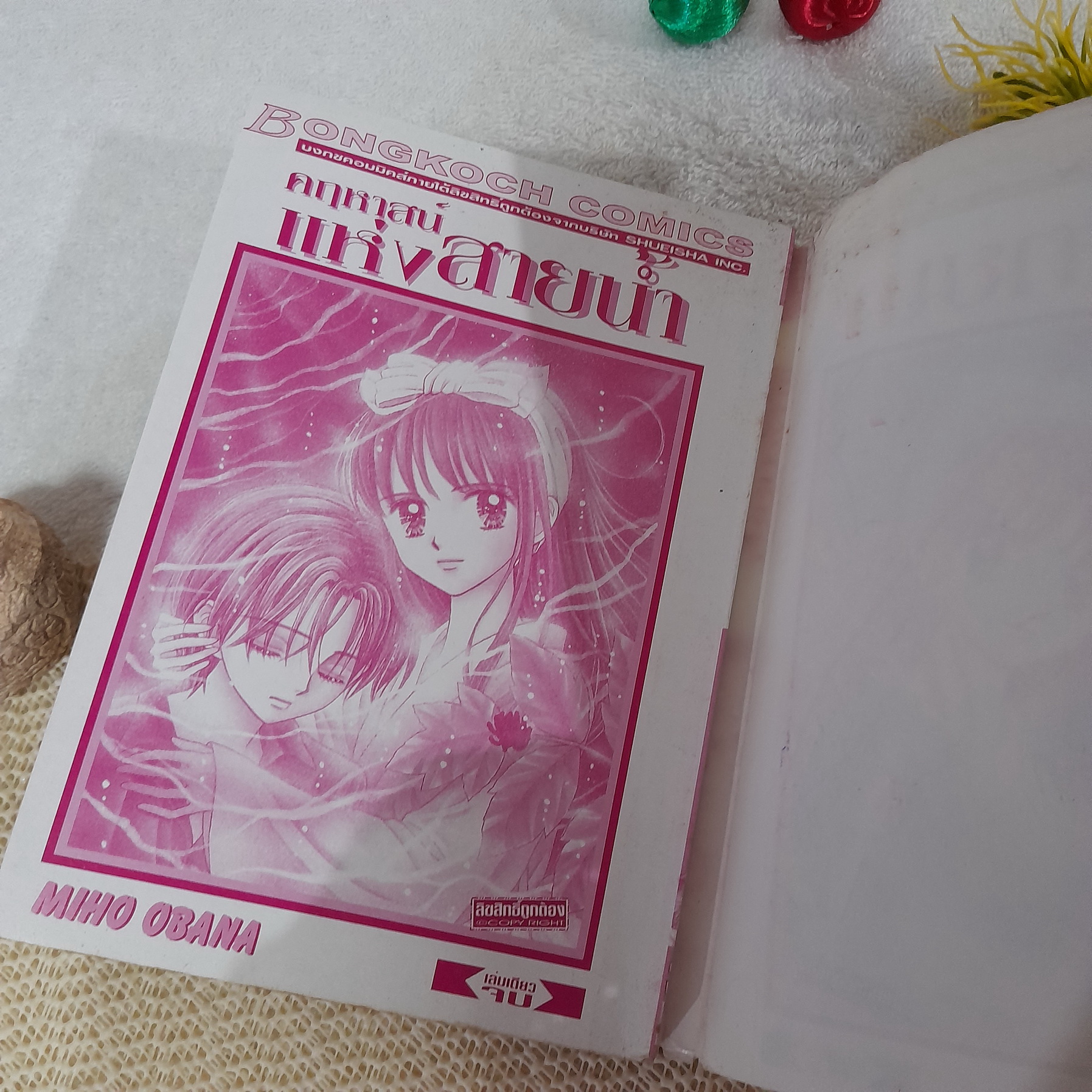 คฤหาสน์แห่งสายน้ำ / Miho Obana