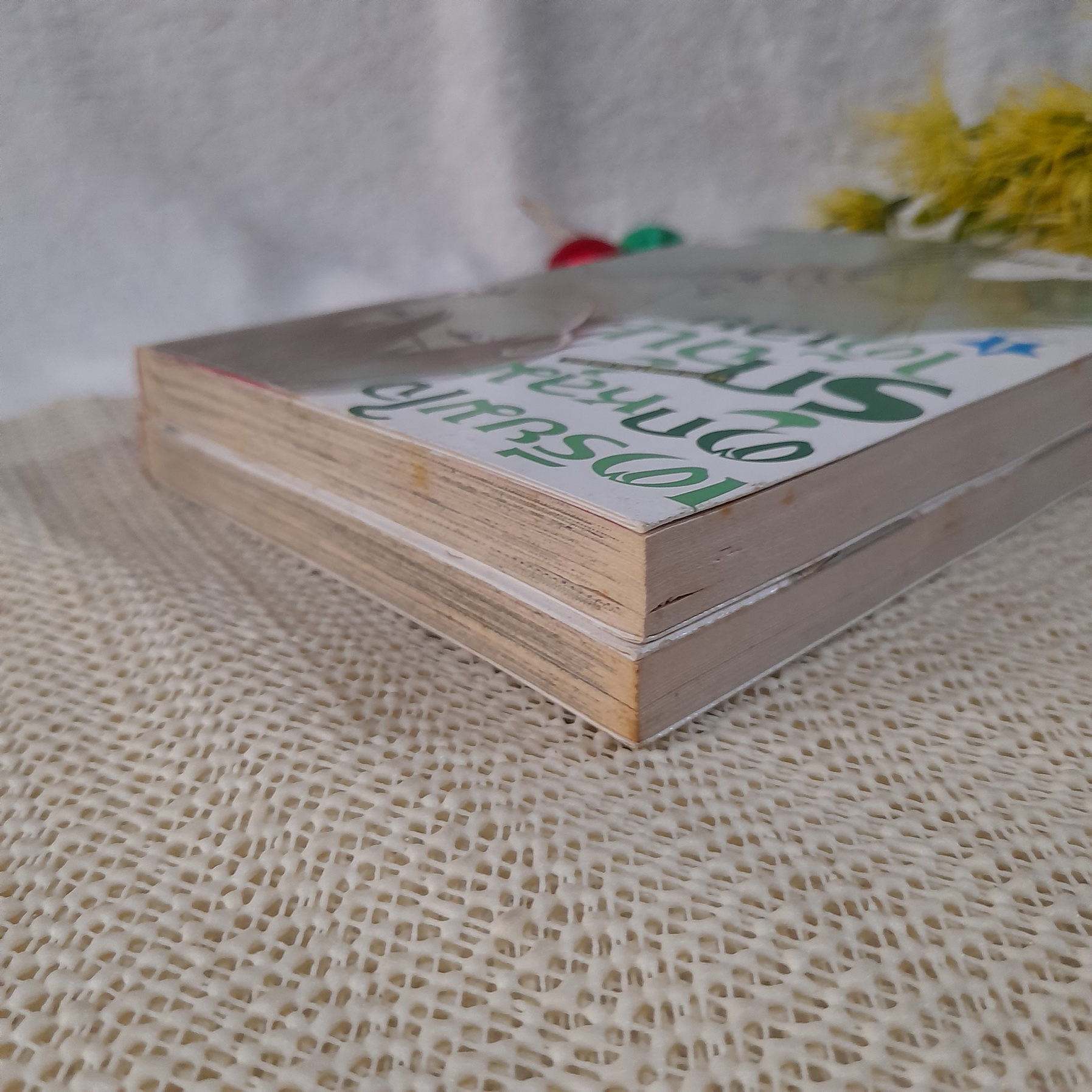 เตรียมใจตกหลุมรักฉันได้เลย 1-2 จบ