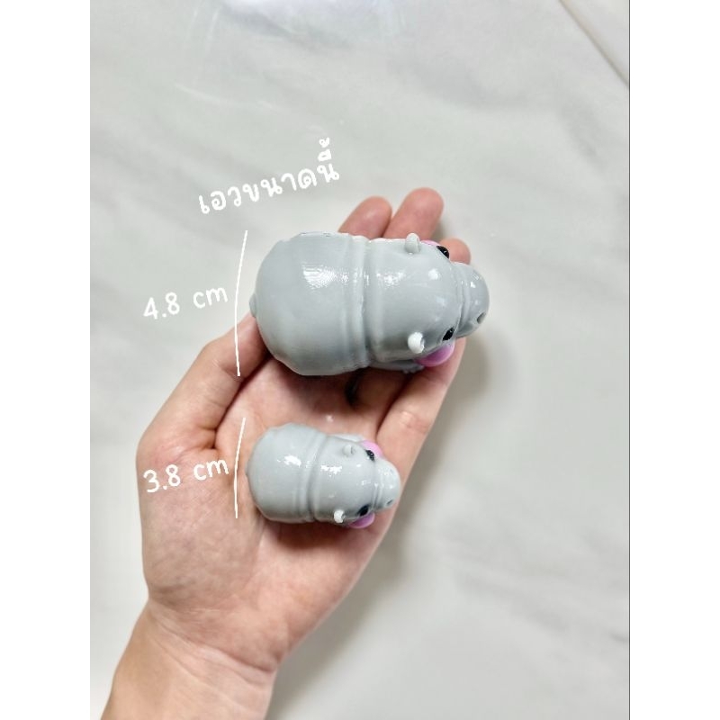 พิมพ์ซิลิโคน ลายฮิปโป ลายหมูเด้ง