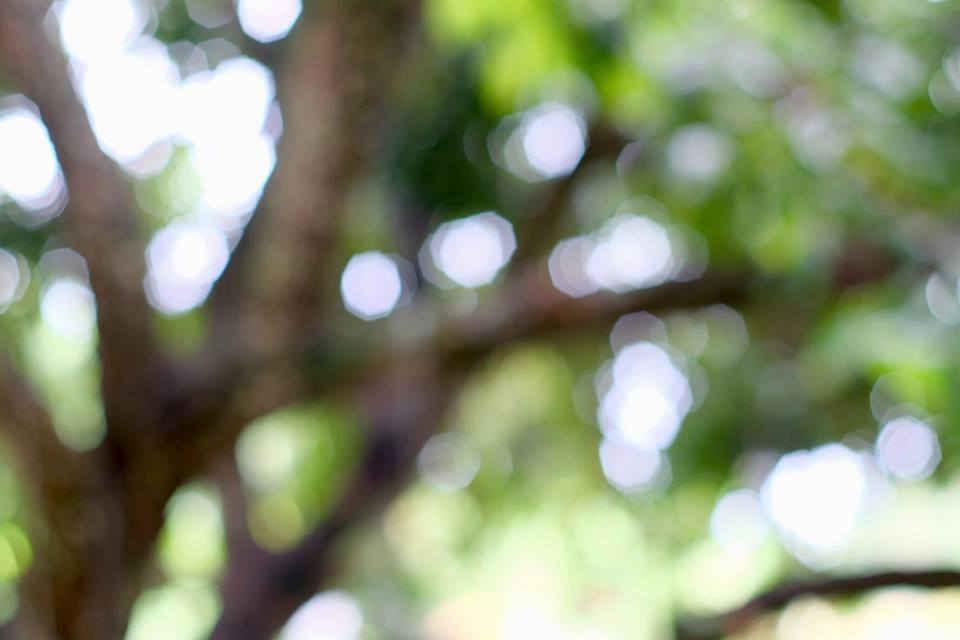 SMC PENTAX-M 50MM.F1.4 PK MOUNT