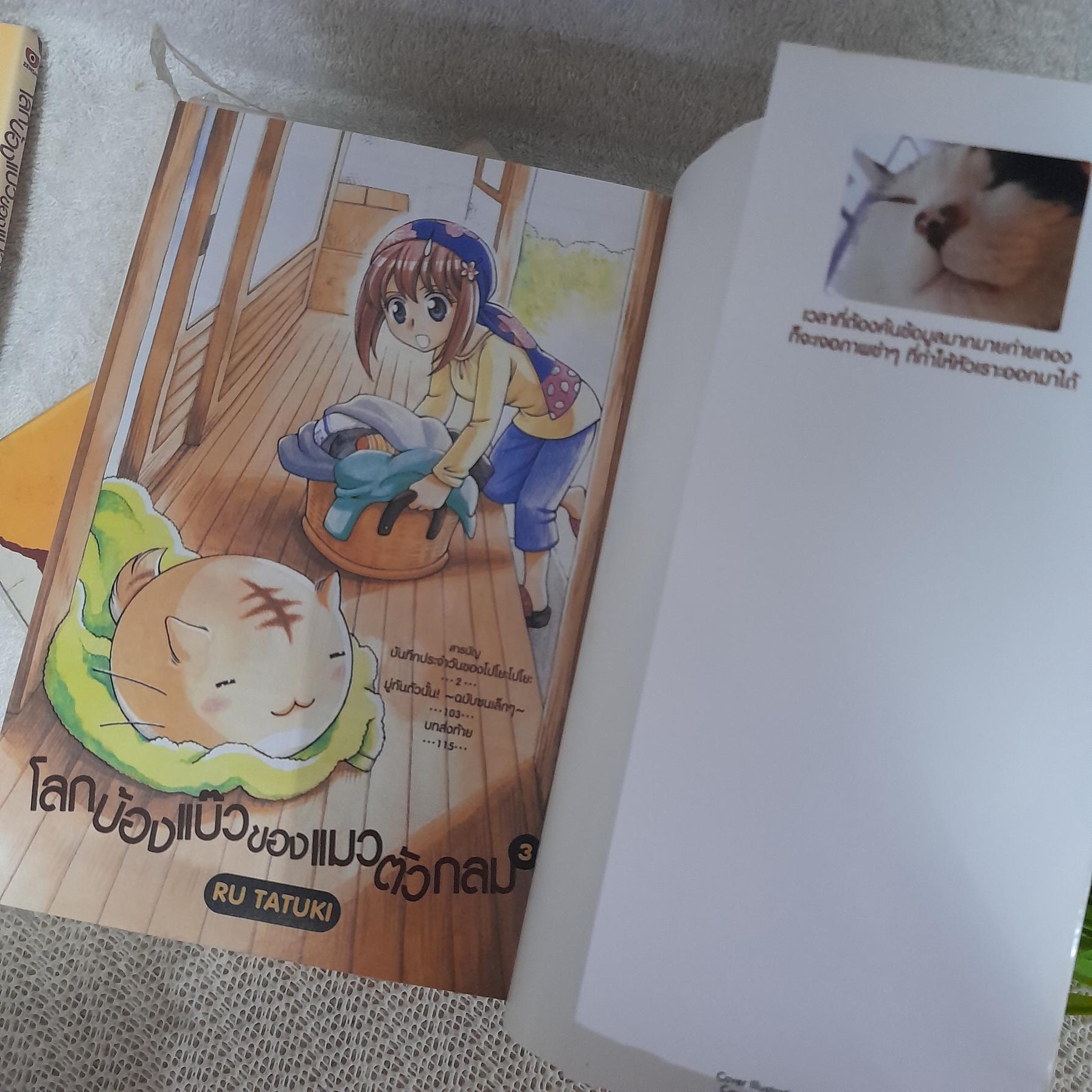 โลกบ้องแบ๊วของแมวตัวกลม 1-9 ไม่จบ