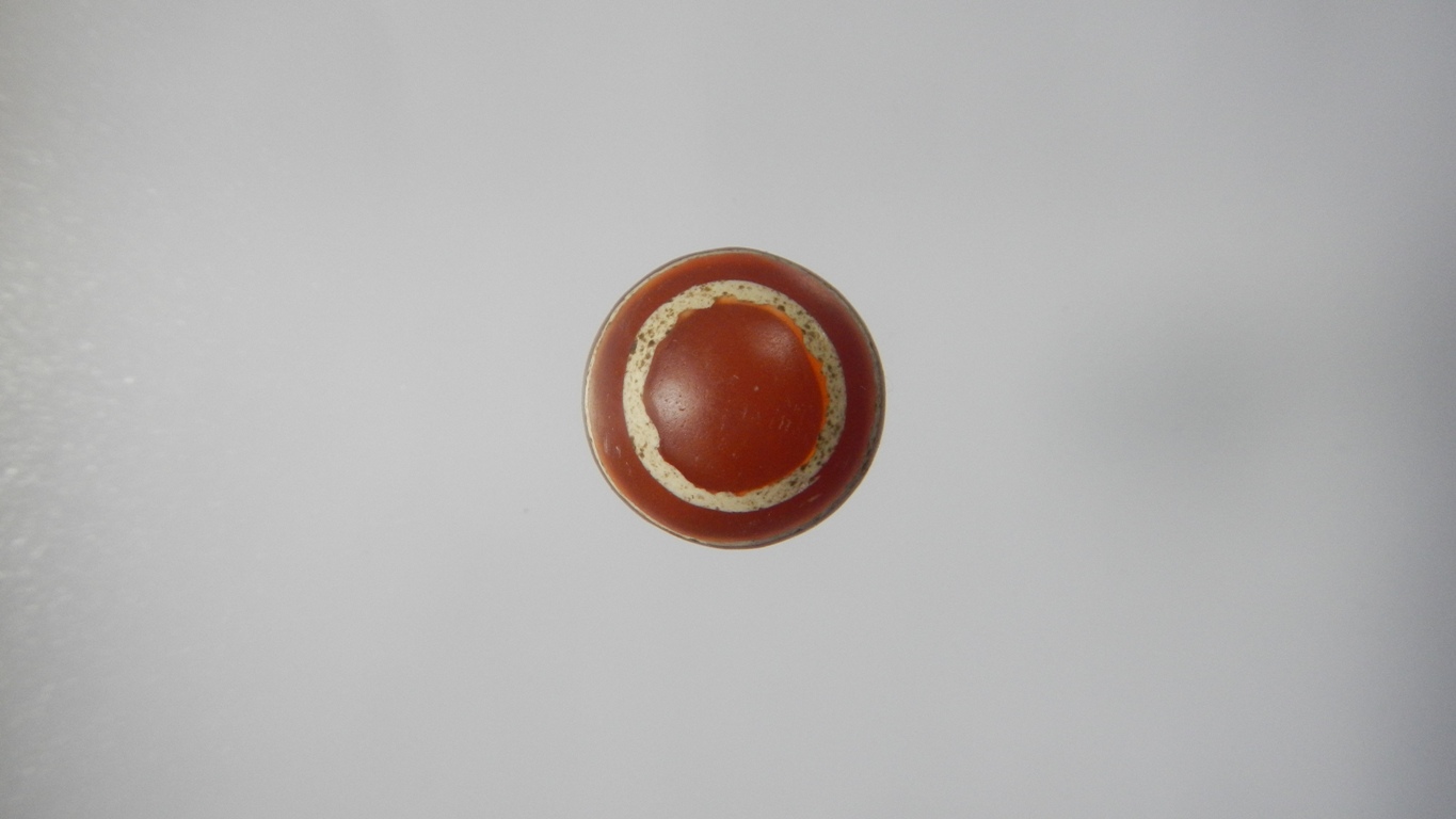 คาเนเลียนเขียนสีเม็ดที่3(ขายแล้ว)